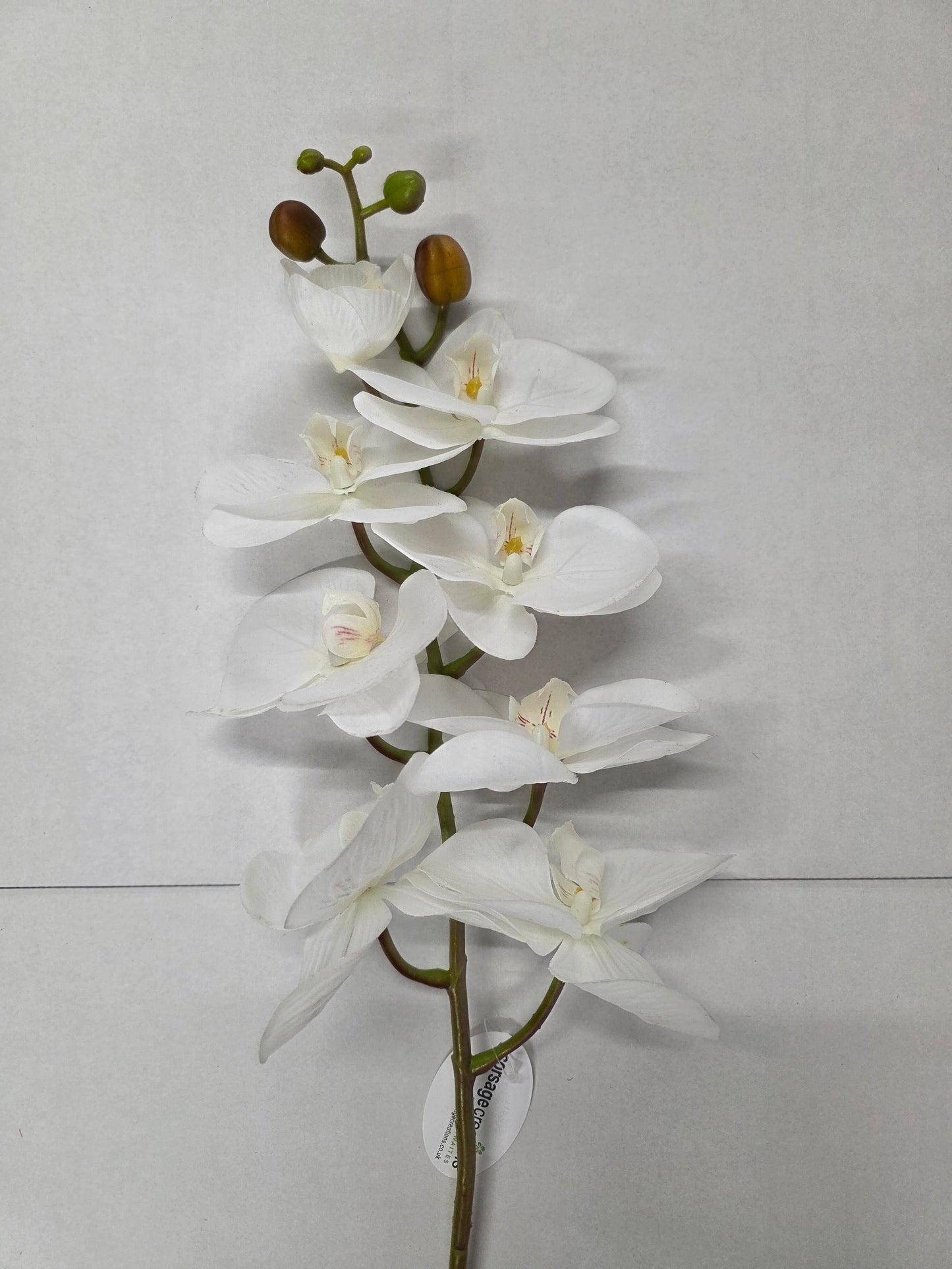 Artificial Orchid Phalaenopsis Cream