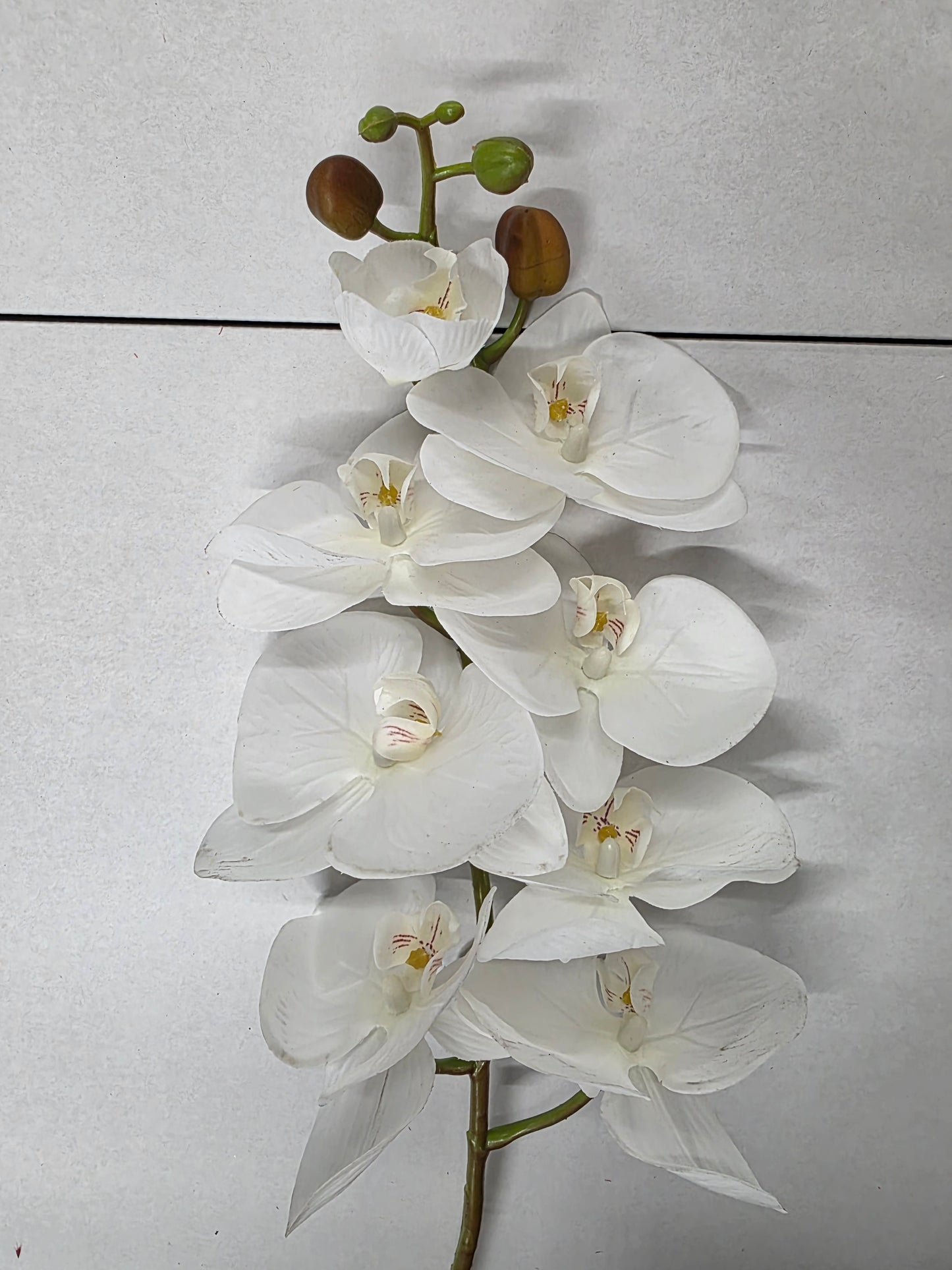 Artificial Orchid Phalaenopsis Cream