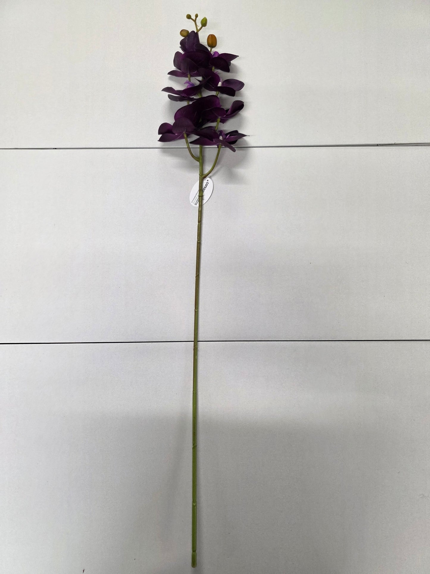 Artificial Orchid Phalaenopsis Purple