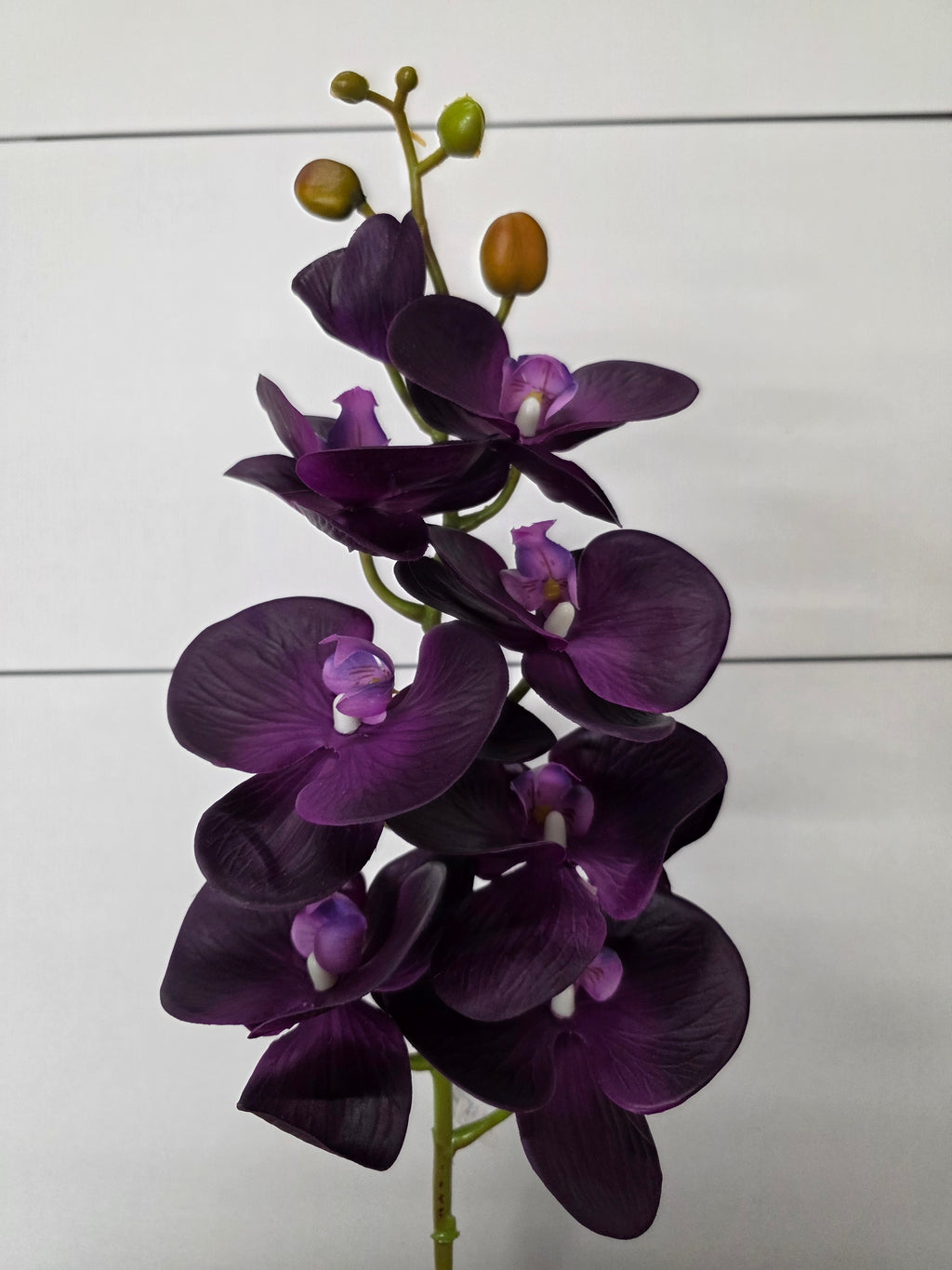 Artificial Orchid Phalaenopsis Purple