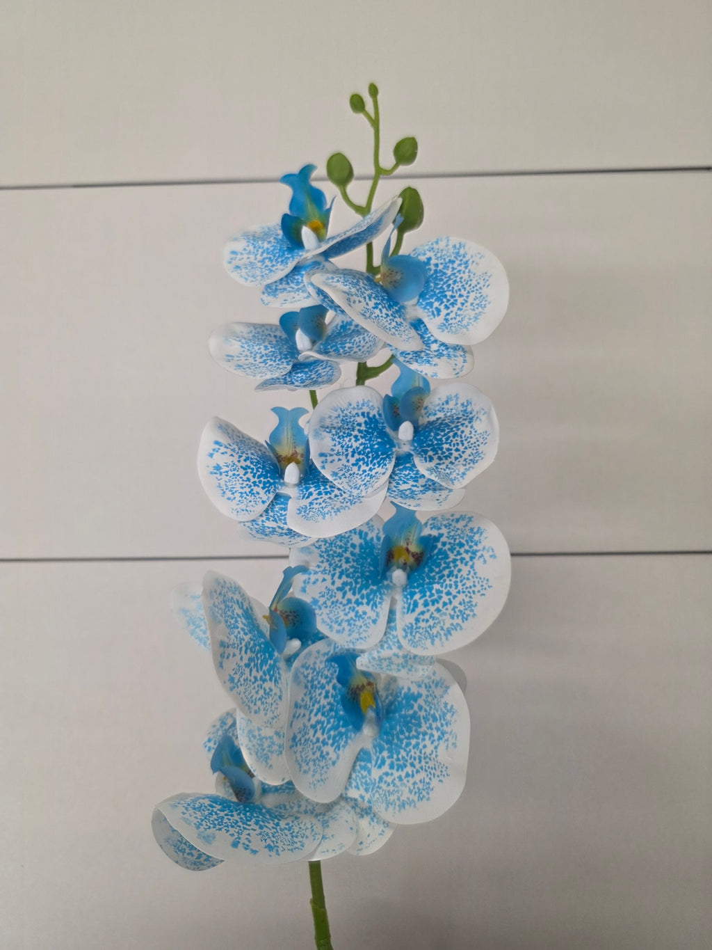 Artificial Orchid Phaleonopsis Wedgewood Blue (PACK OF 2)