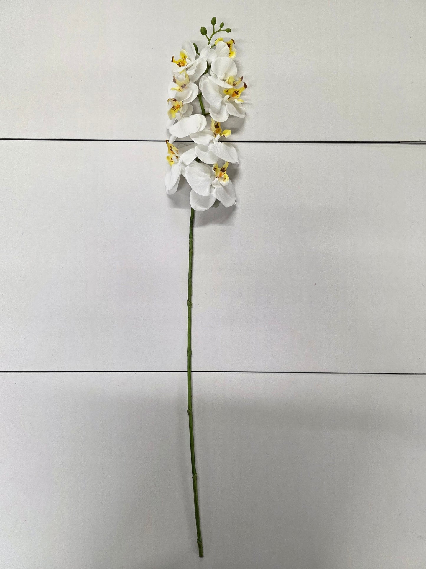 Artificial Phalaenopsis Cream 86cm