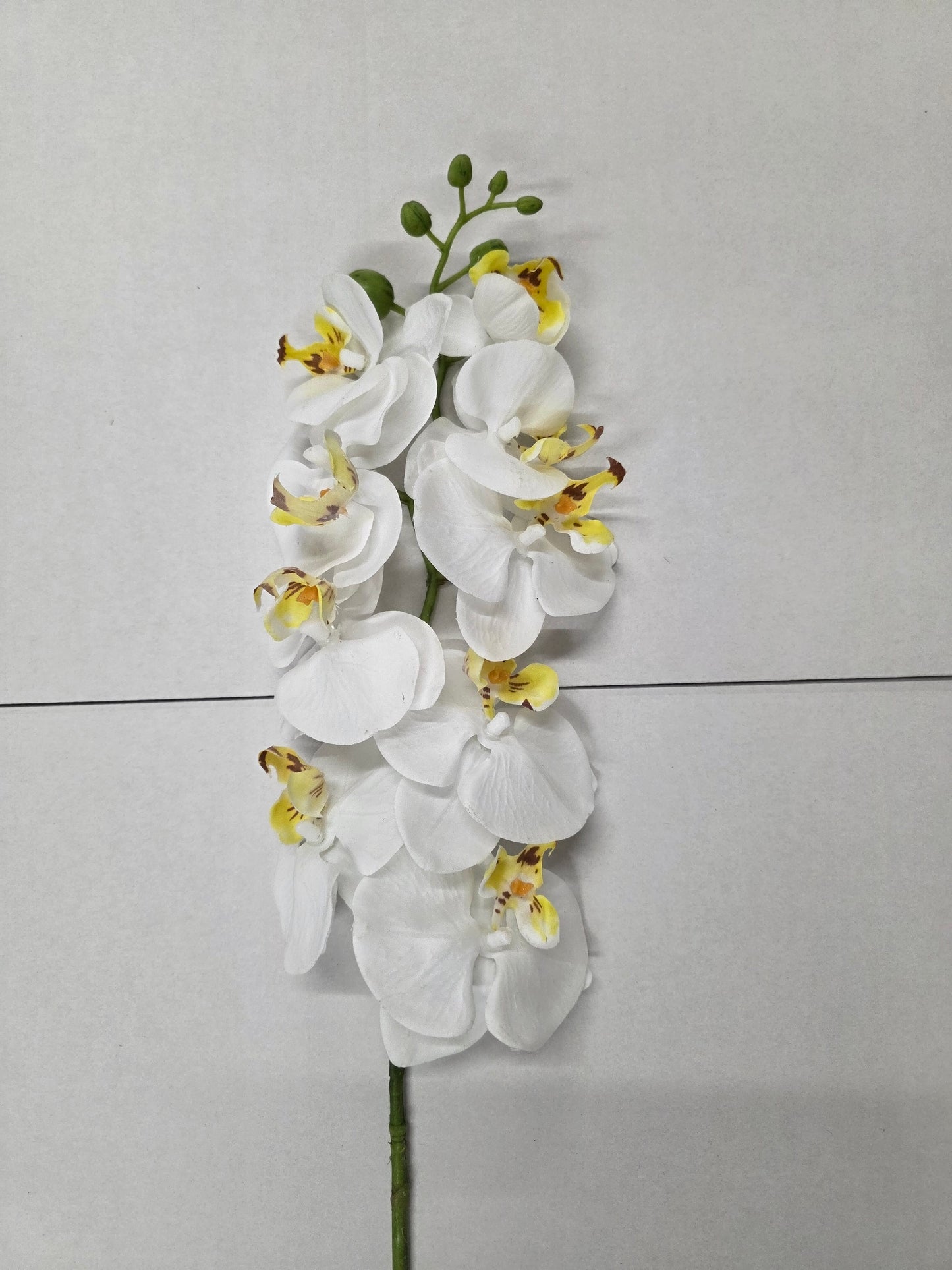 Artificial Phalaenopsis Cream 86cm