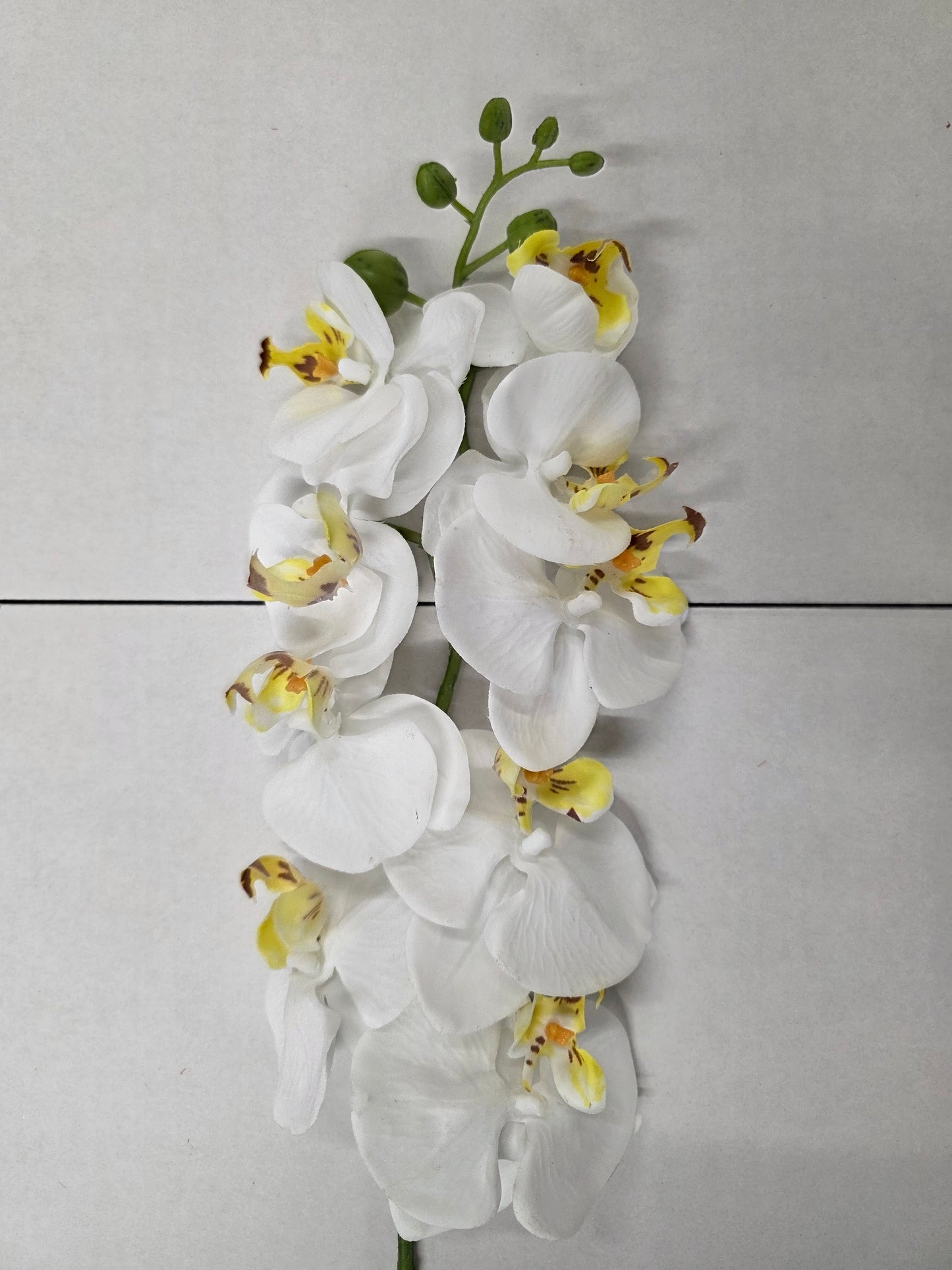 Artificial Phalaenopsis Cream 86cm