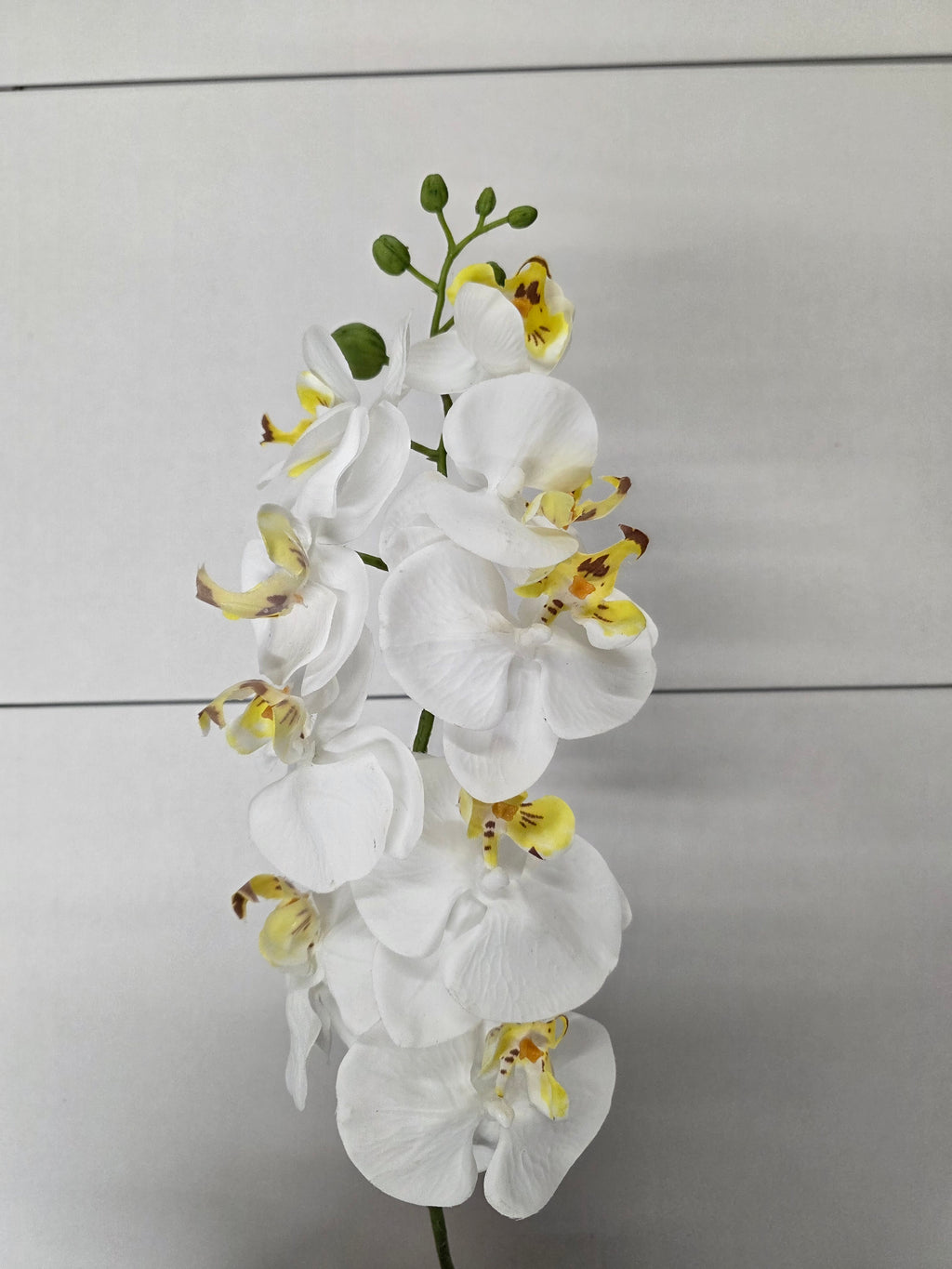 Artificial Phalaenopsis Cream 86cm