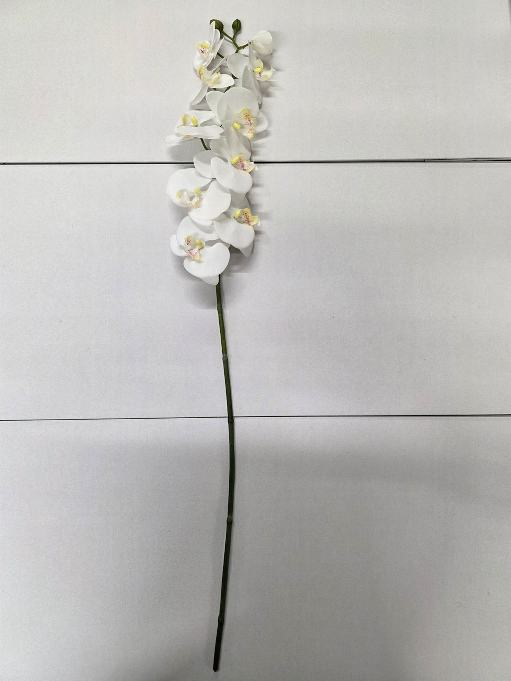 Artificial Phaleanopsis Orchid Cream 99cm