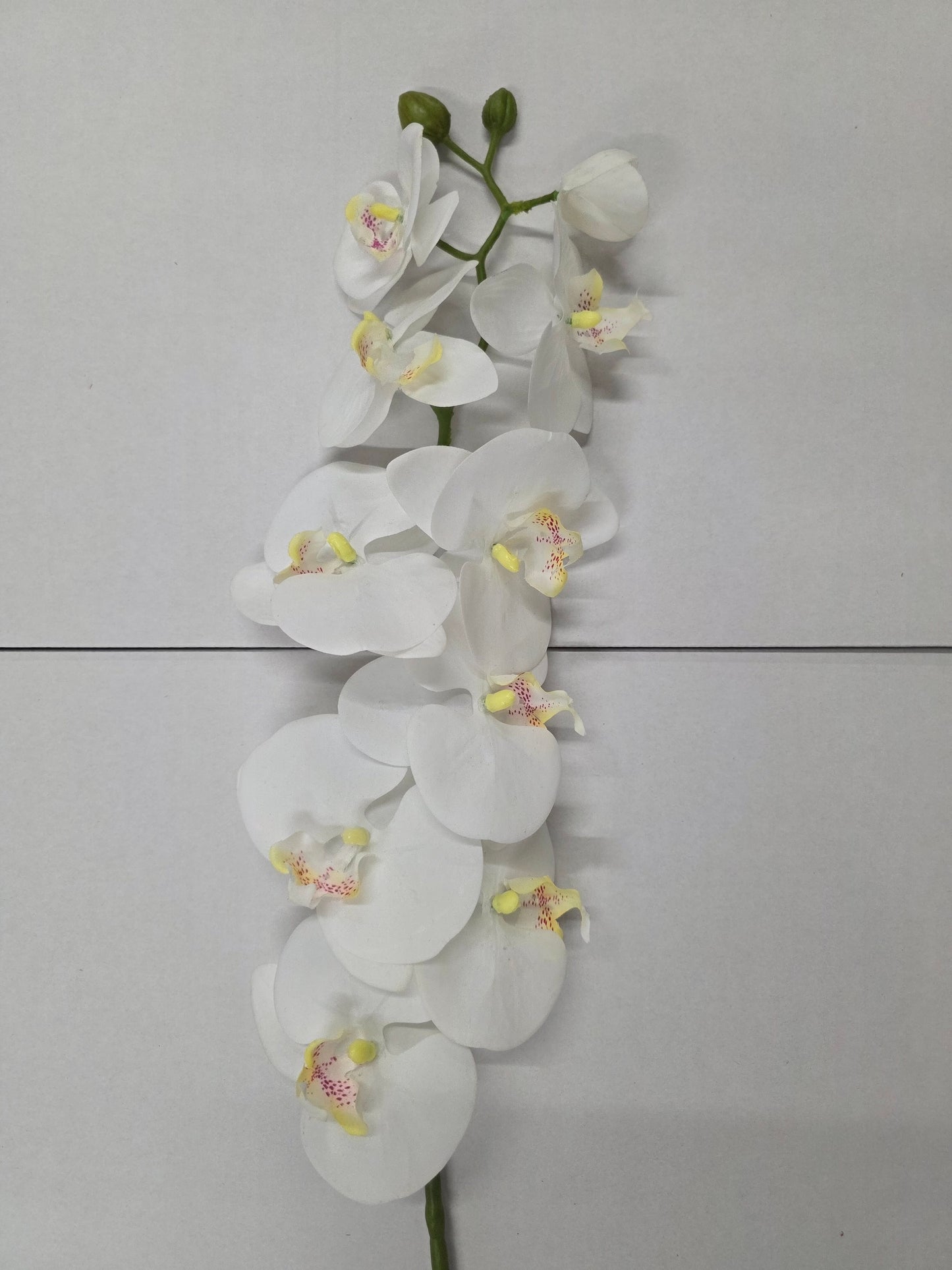 Artificial Phaleanopsis Orchid Cream 99cm