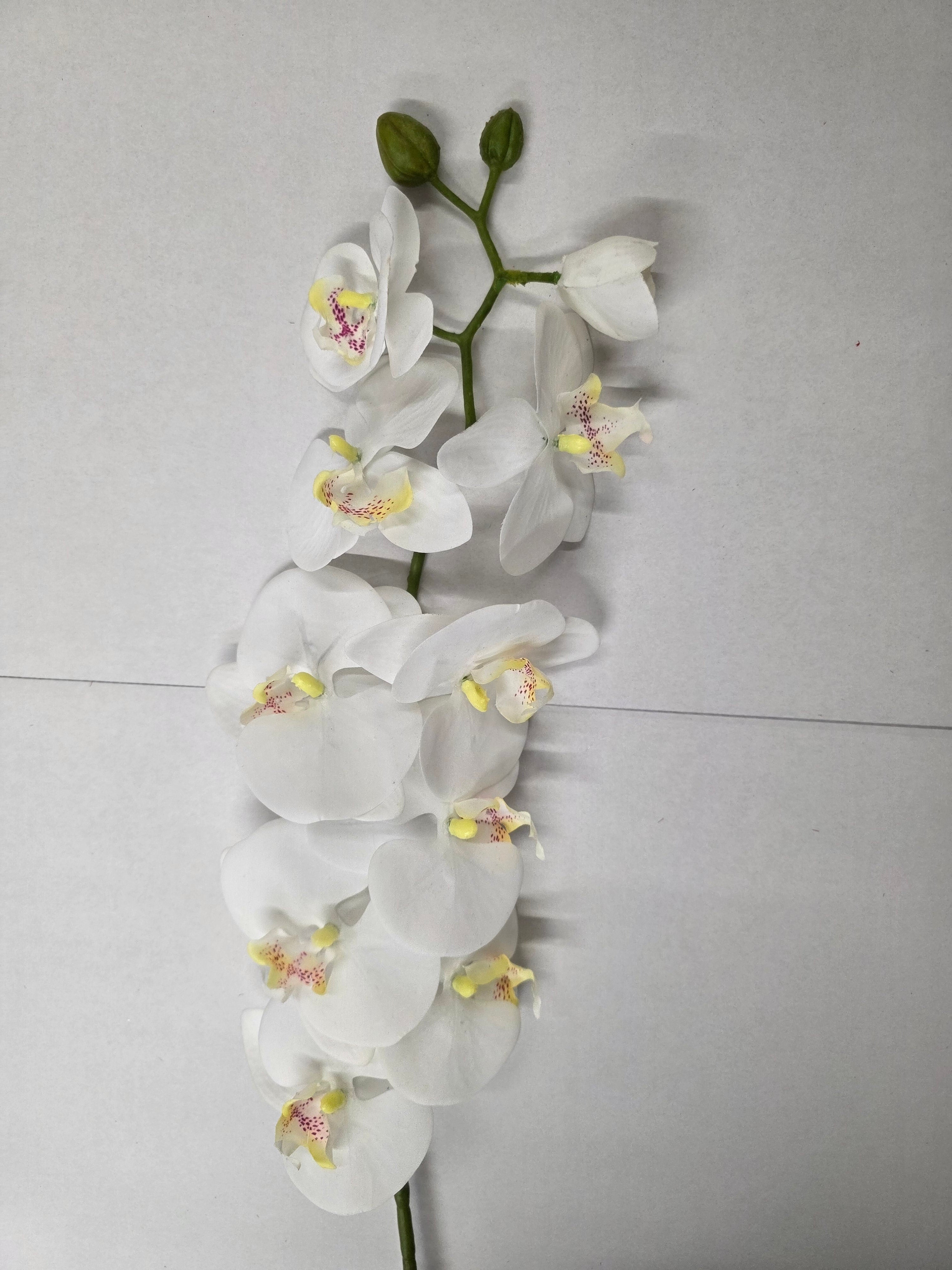 Artificial Phaleanopsis Orchid Cream 99cm