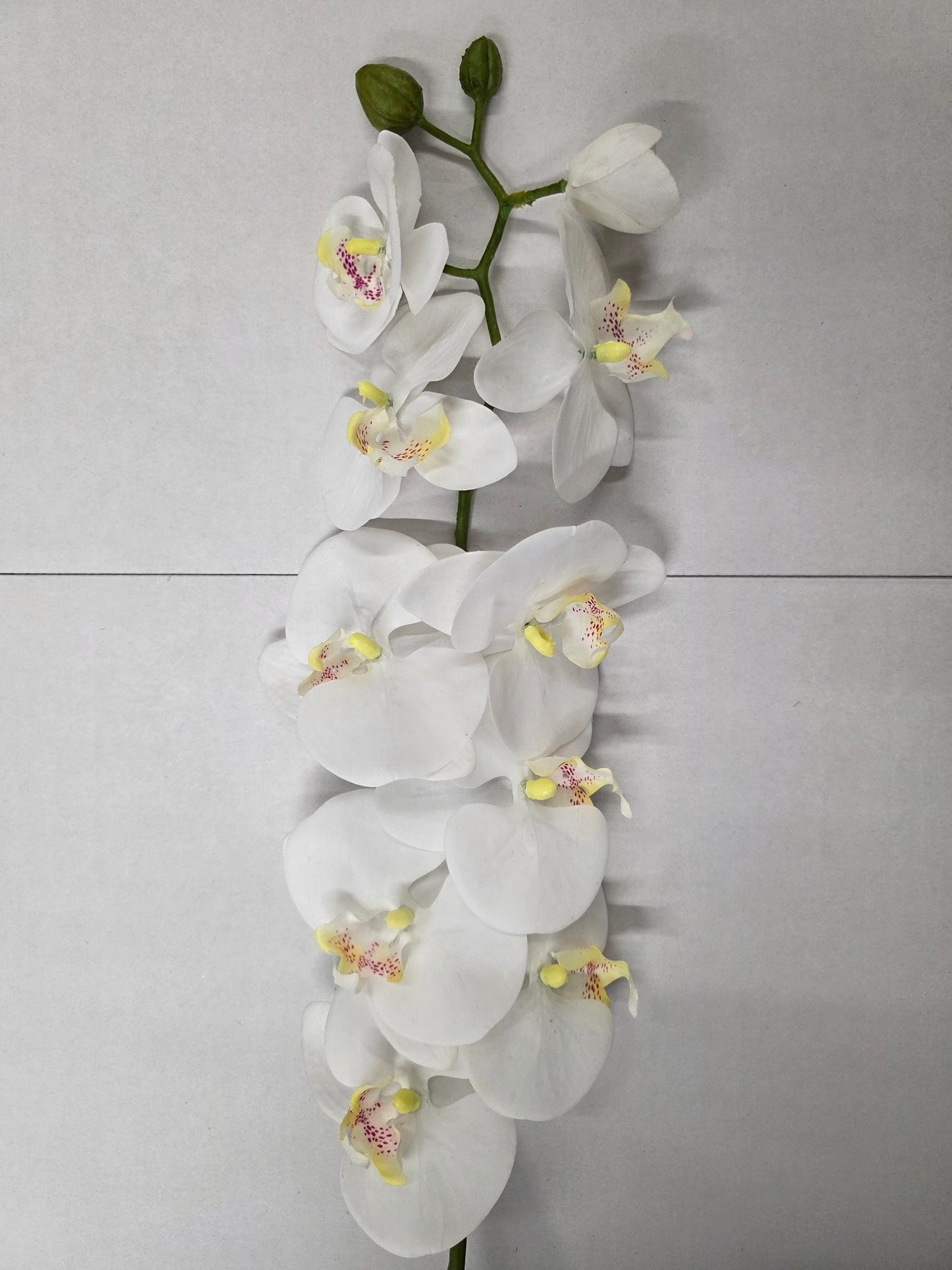 Artificial Phaleanopsis Orchid Cream 99cm