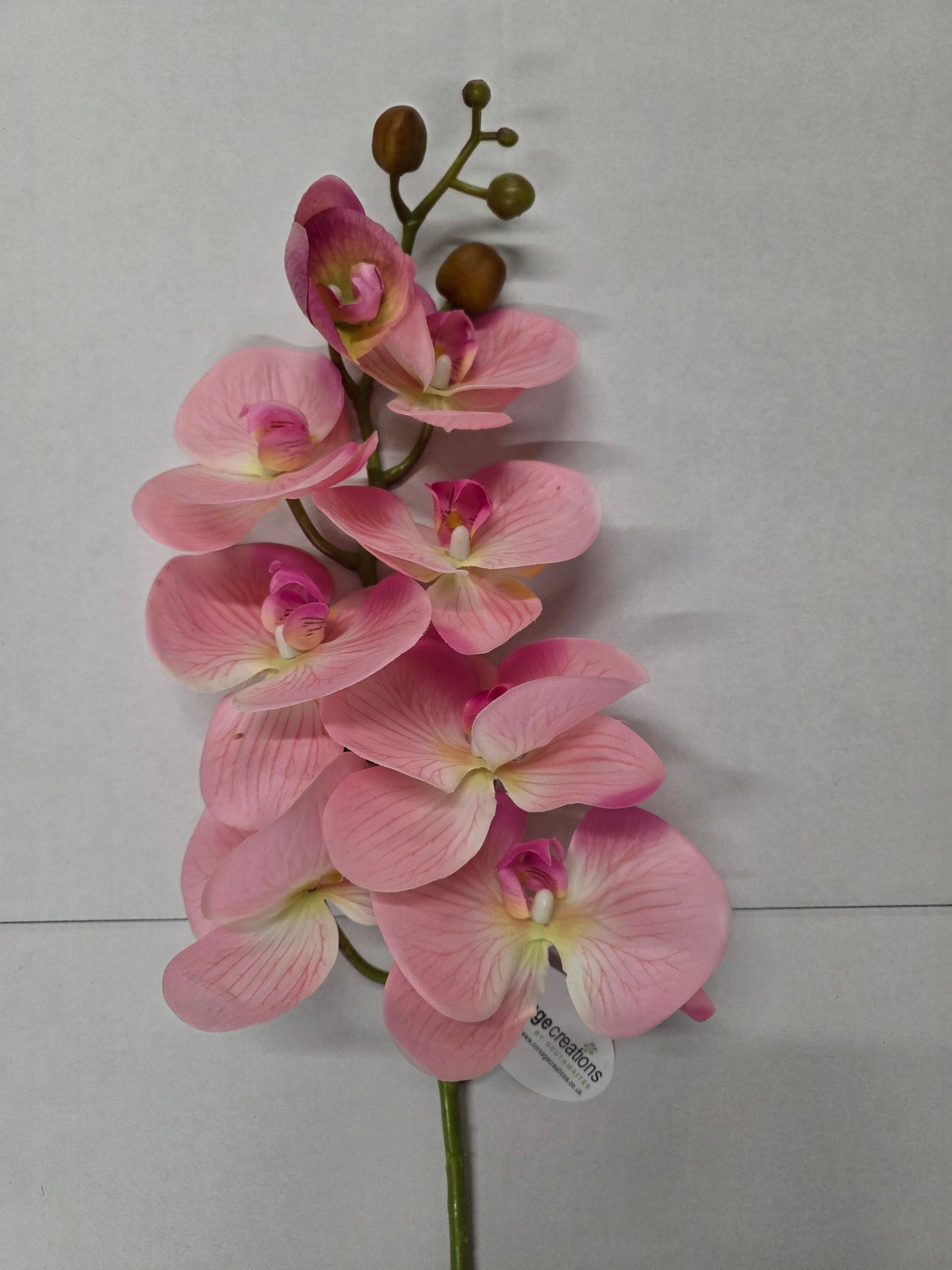 Artificial Phaleanopsis Orchid Pink 99cm