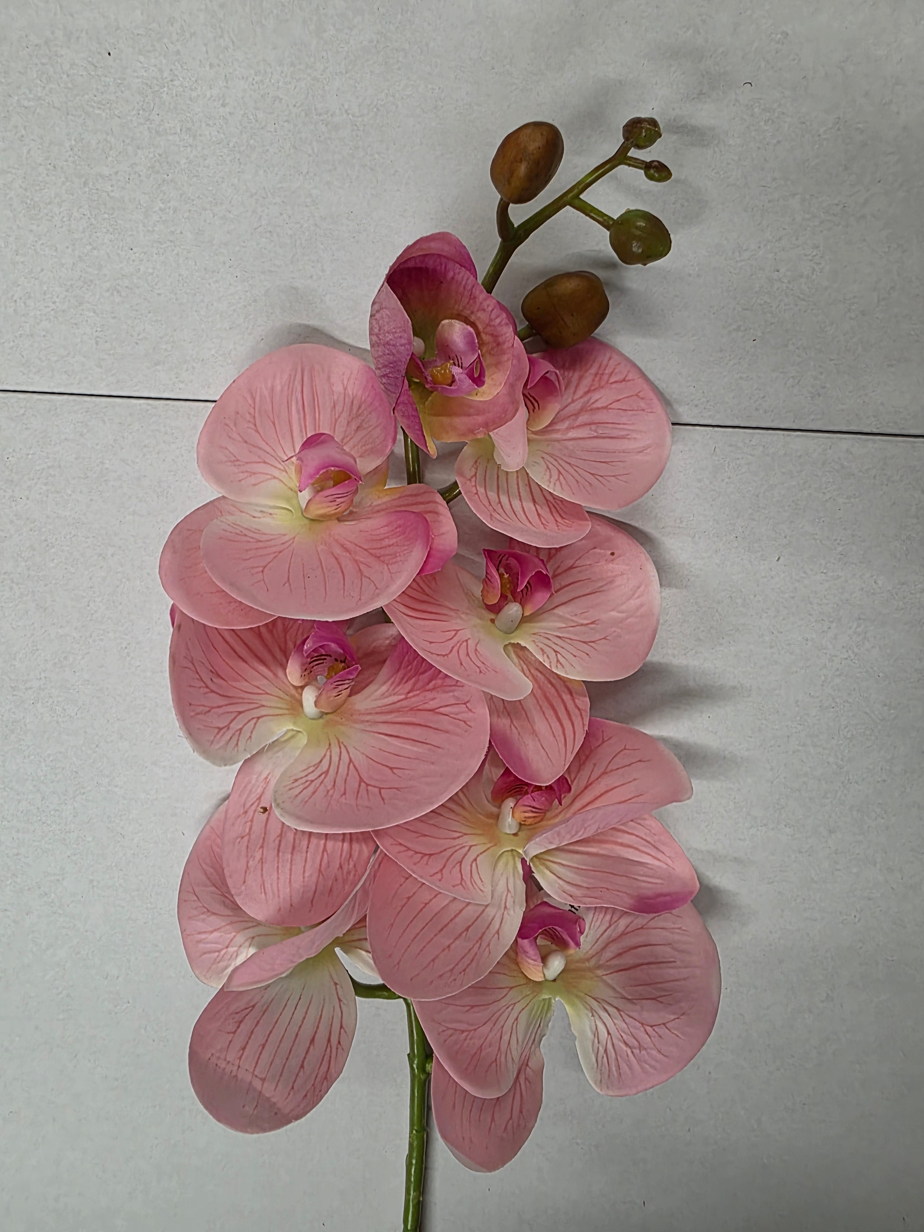 Artificial Phaleanopsis Orchid Pink 99cm
