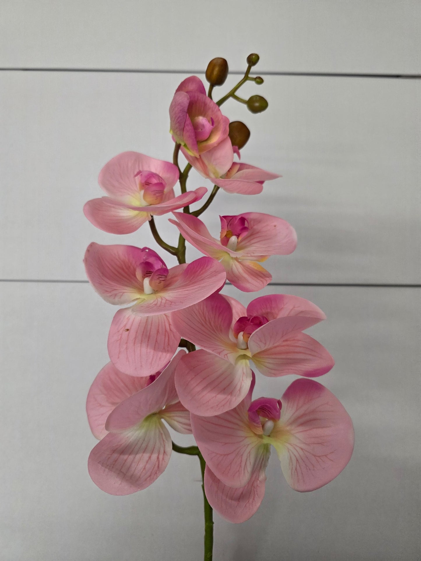 Artificial Phaleanopsis Orchid Pink 99cm