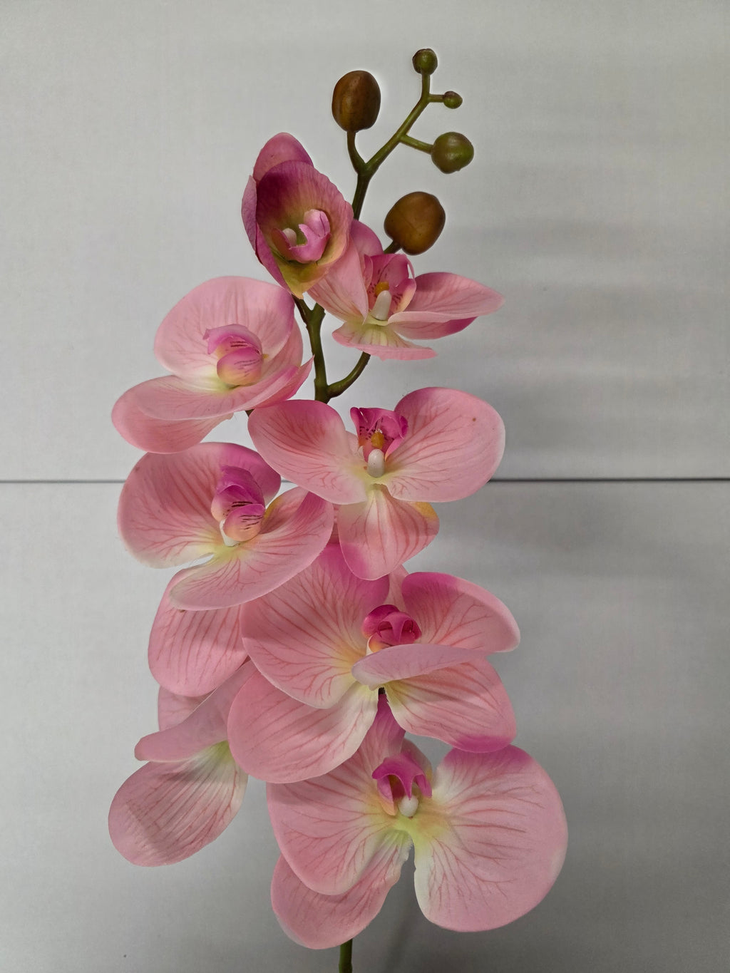 Artificial Phaleanopsis Orchid Pink 99cm