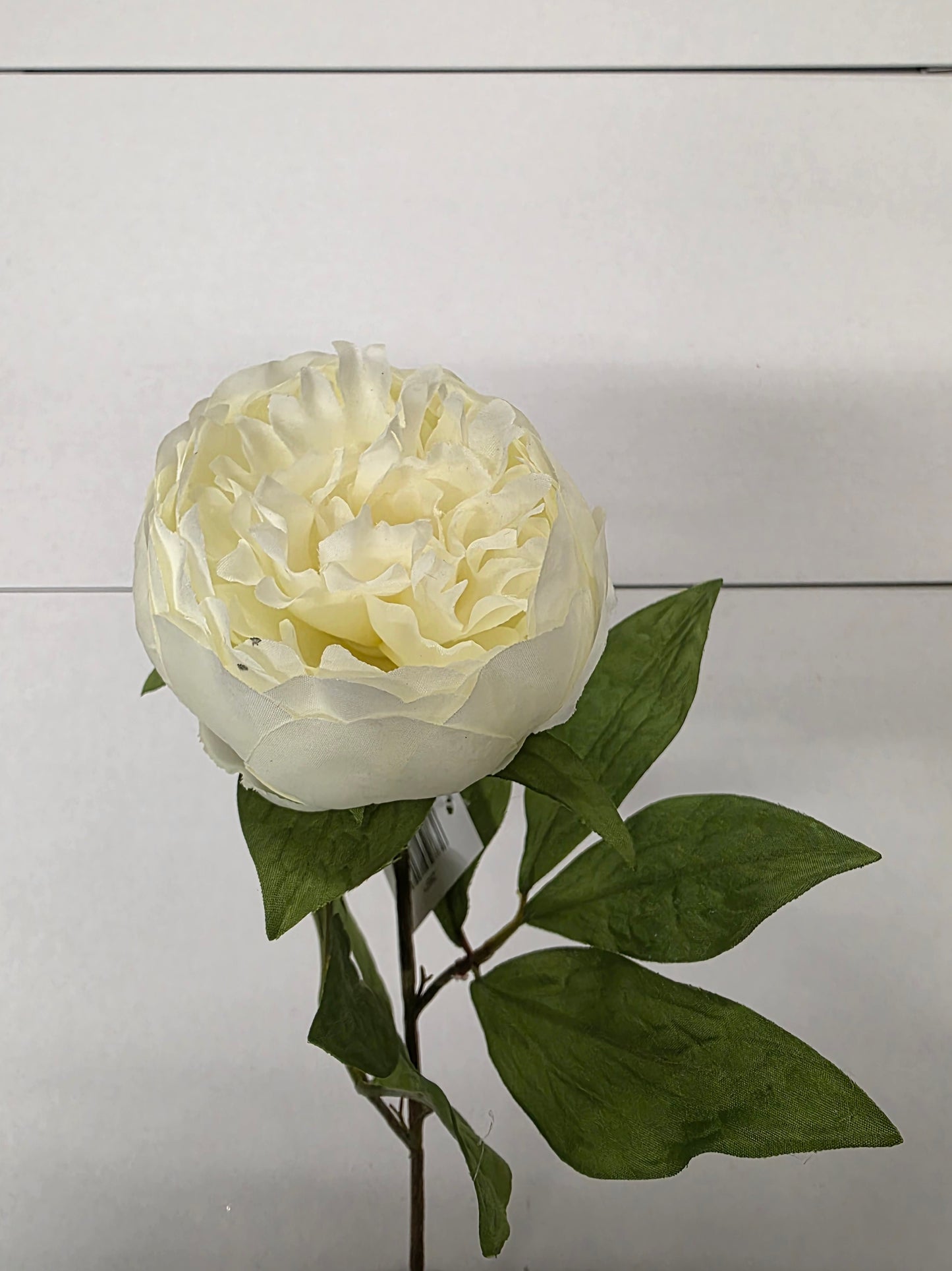 Artificial Peony Cream (PACK OF 3)