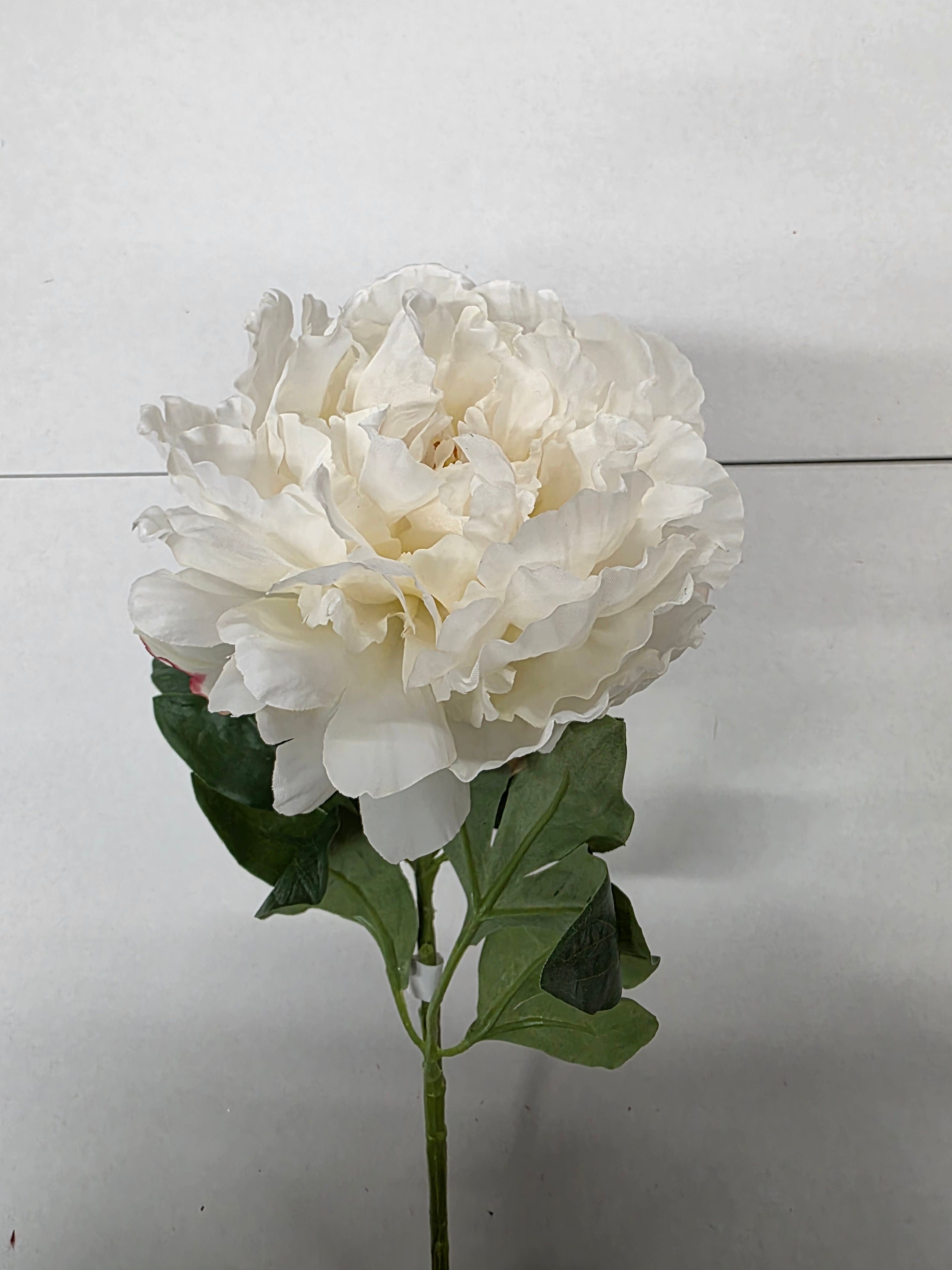 Artificial Peony Spray 65cm Cream
