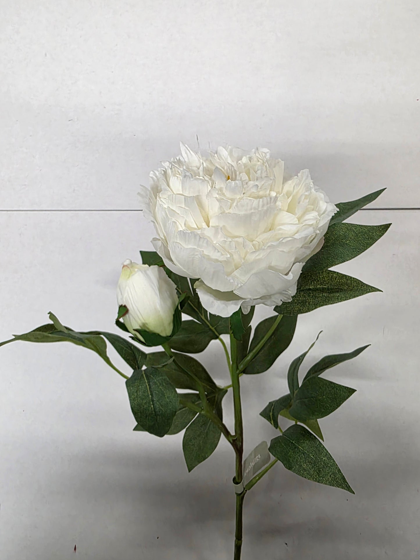 Artificial Peony Spray White