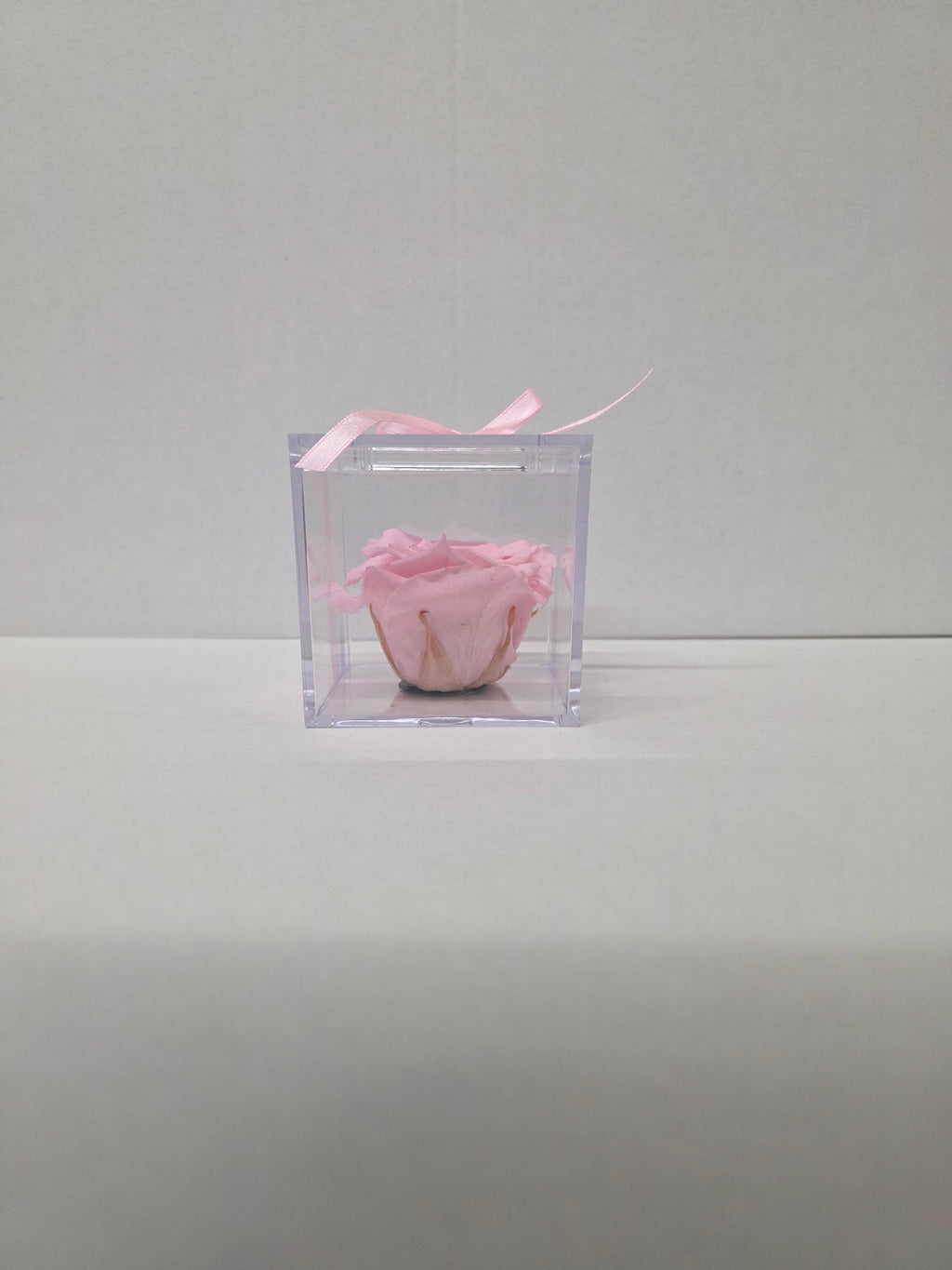 Artificial Preserved Rosa Gb14 Pin 04