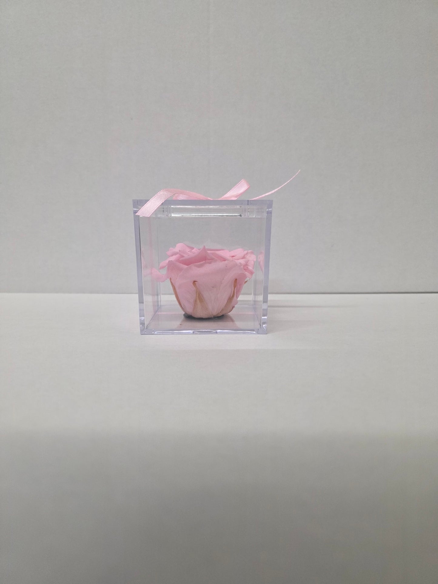 Artificial Preserved Rosa Gb14 Pin 04