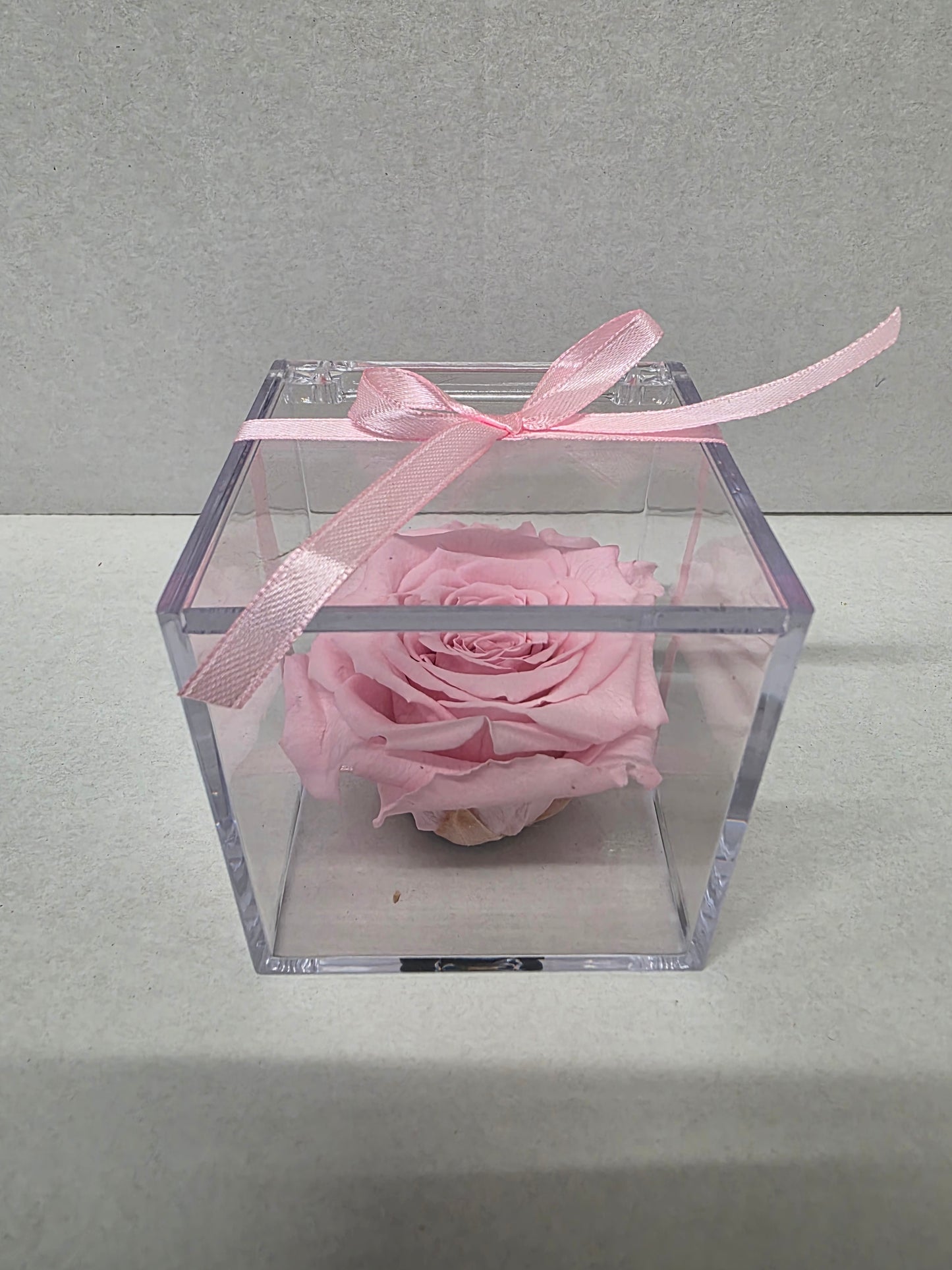 Artificial Preserved Rosa Gb14 Pin 04