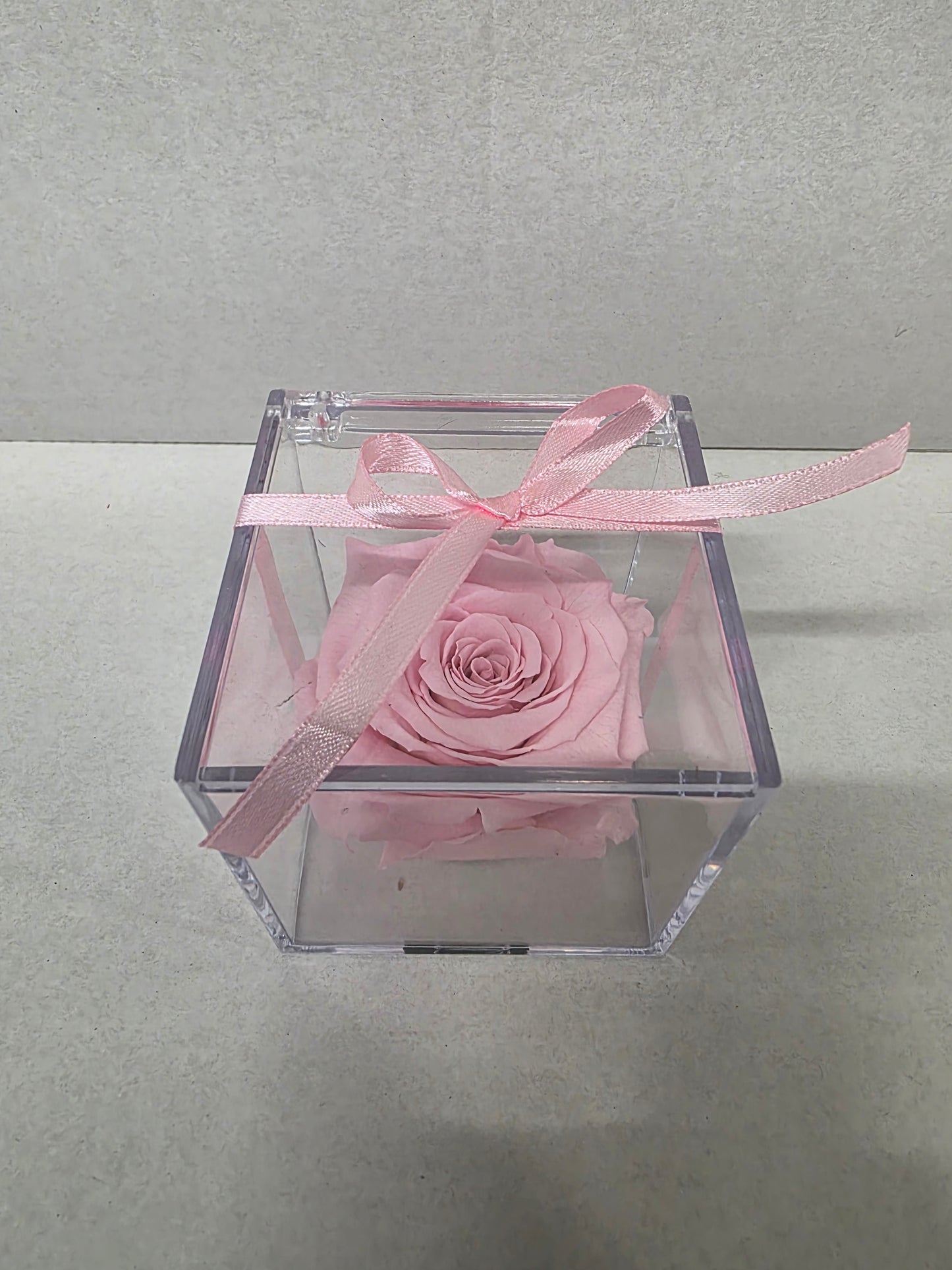 Artificial Preserved Rosa Gb14 Pin 04