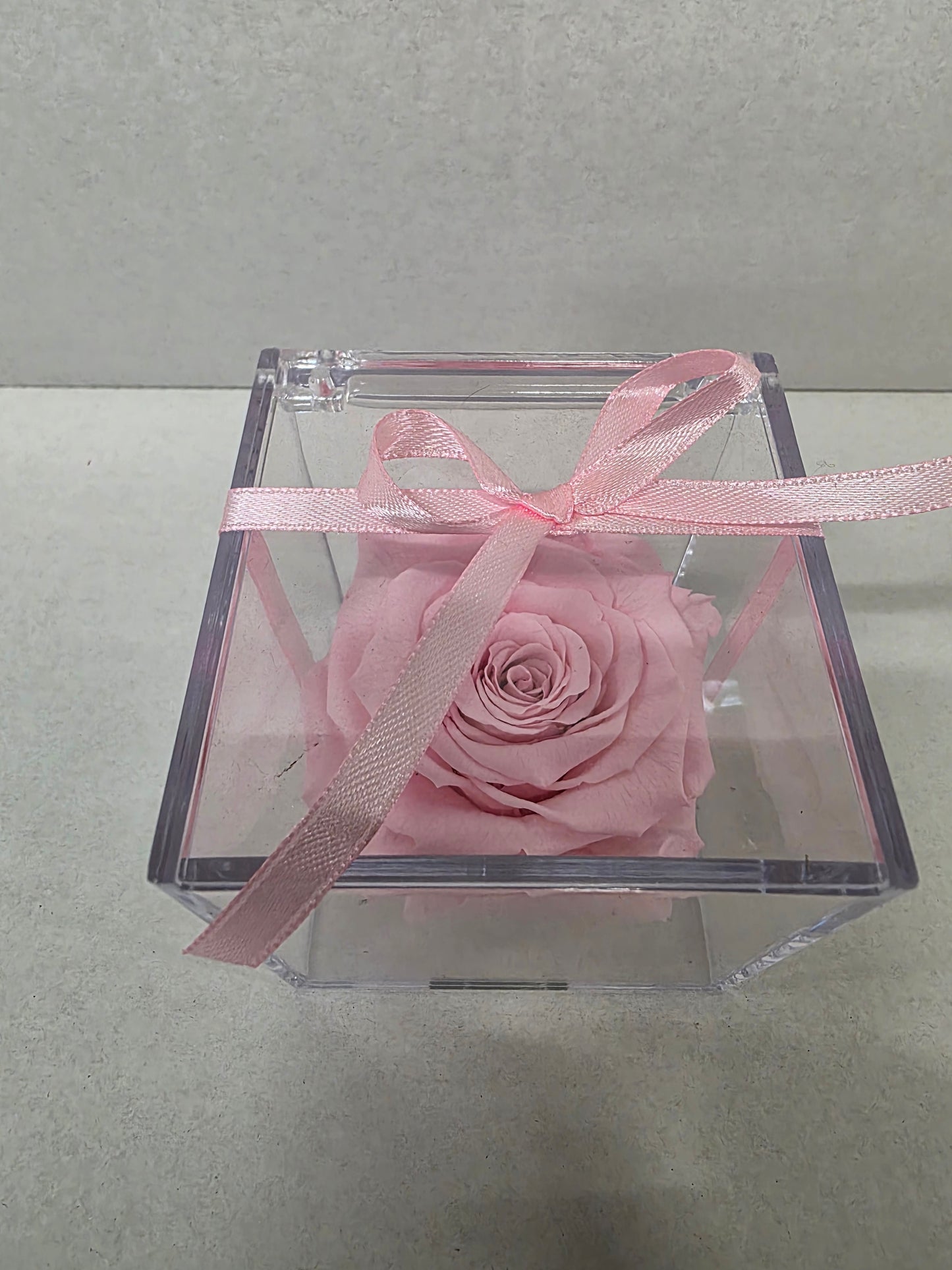 Artificial Preserved Rosa Gb14 Pin 04