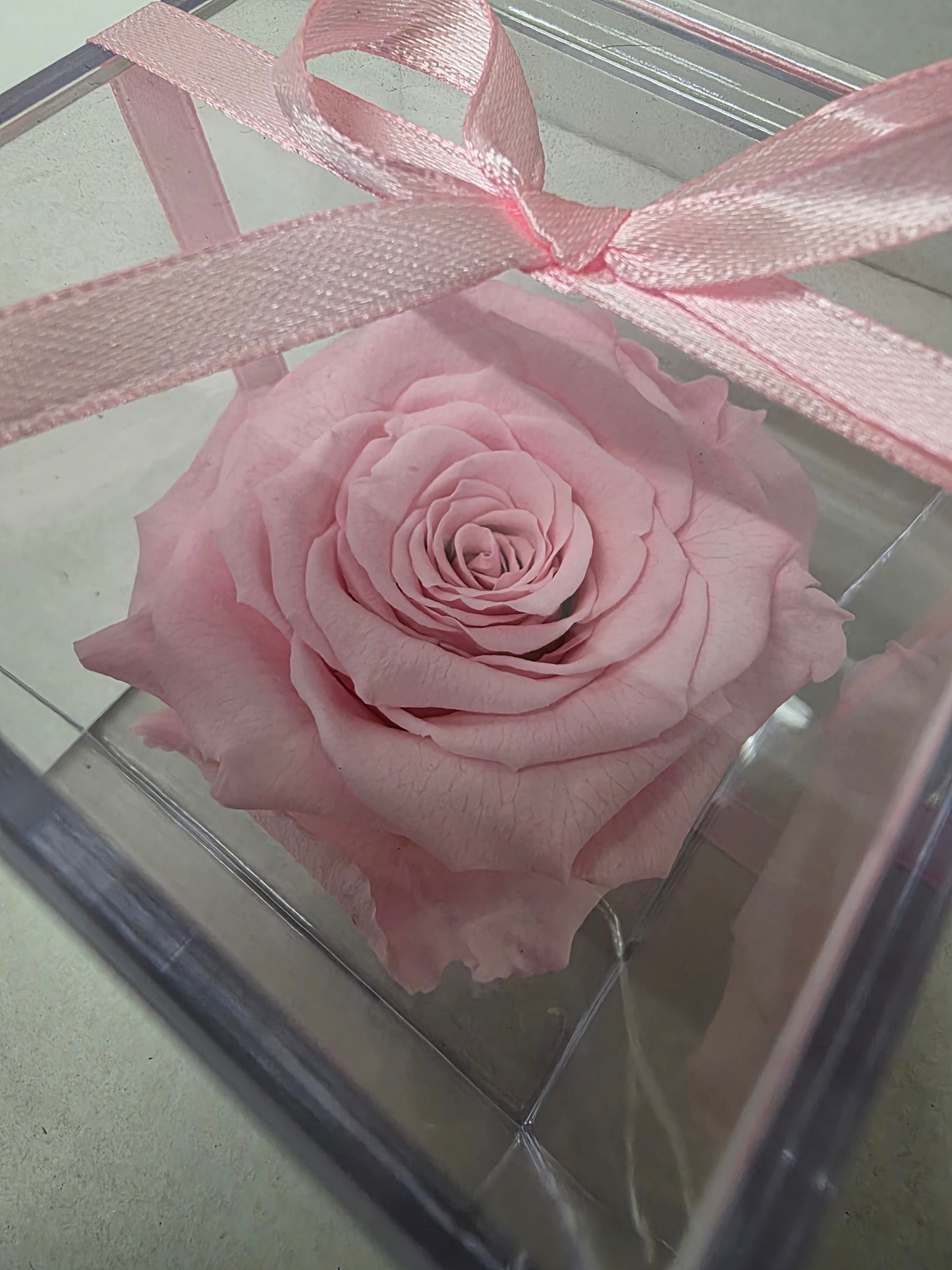 Artificial Preserved Rosa Gb14 Pin 04