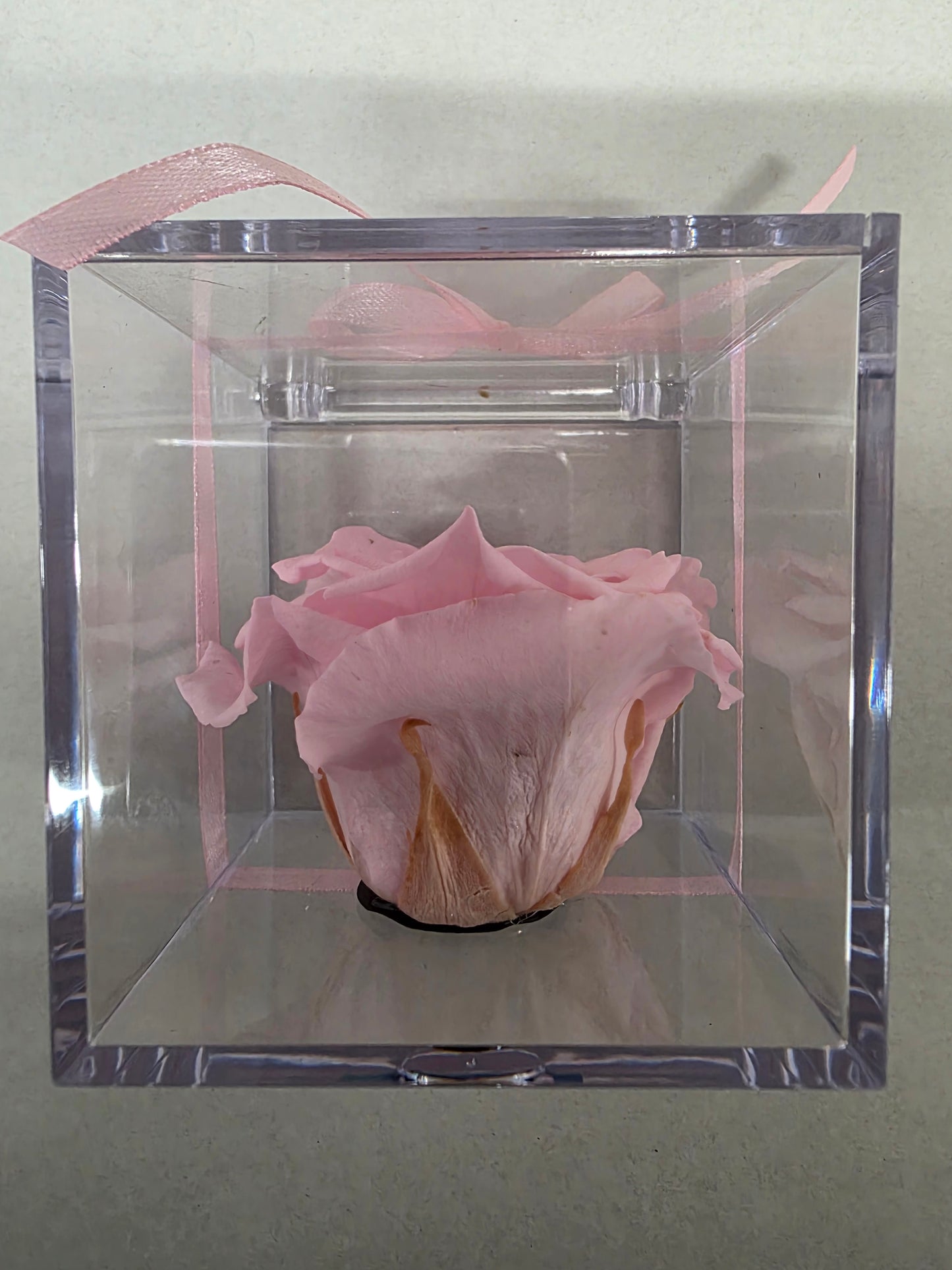 Artificial Preserved Rosa Gb14 Pin 04