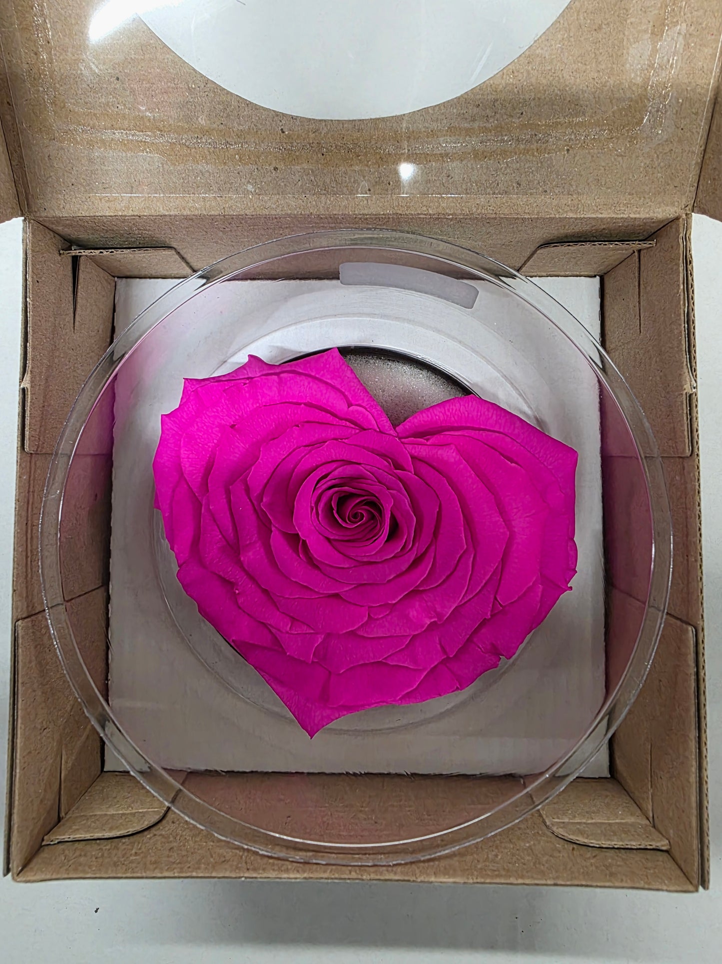 Artificial Preserved Rosa Heart Xxl Fuchsia 07
