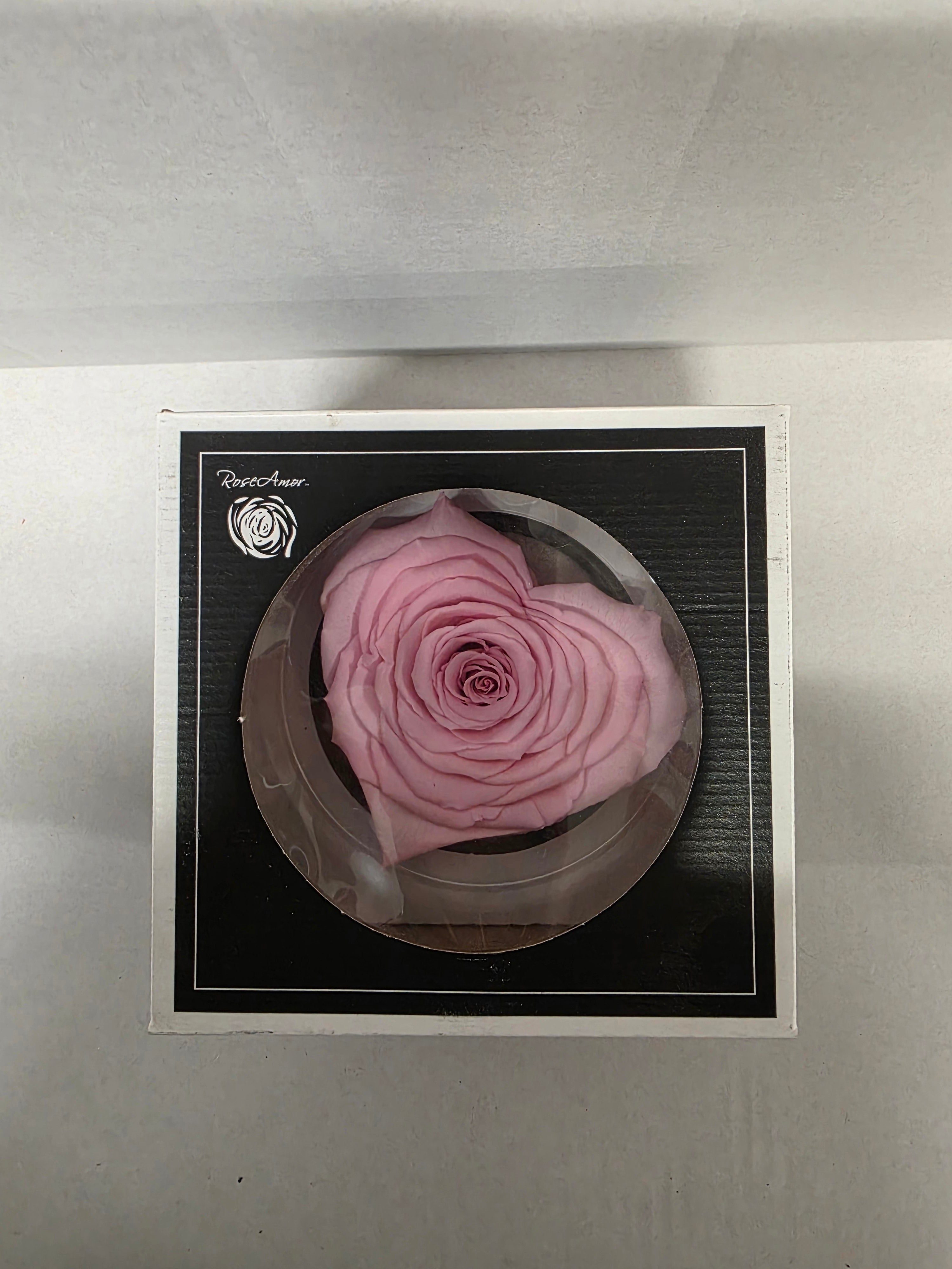 Artificial Preserved Rosa Heart Xxl Pin 04