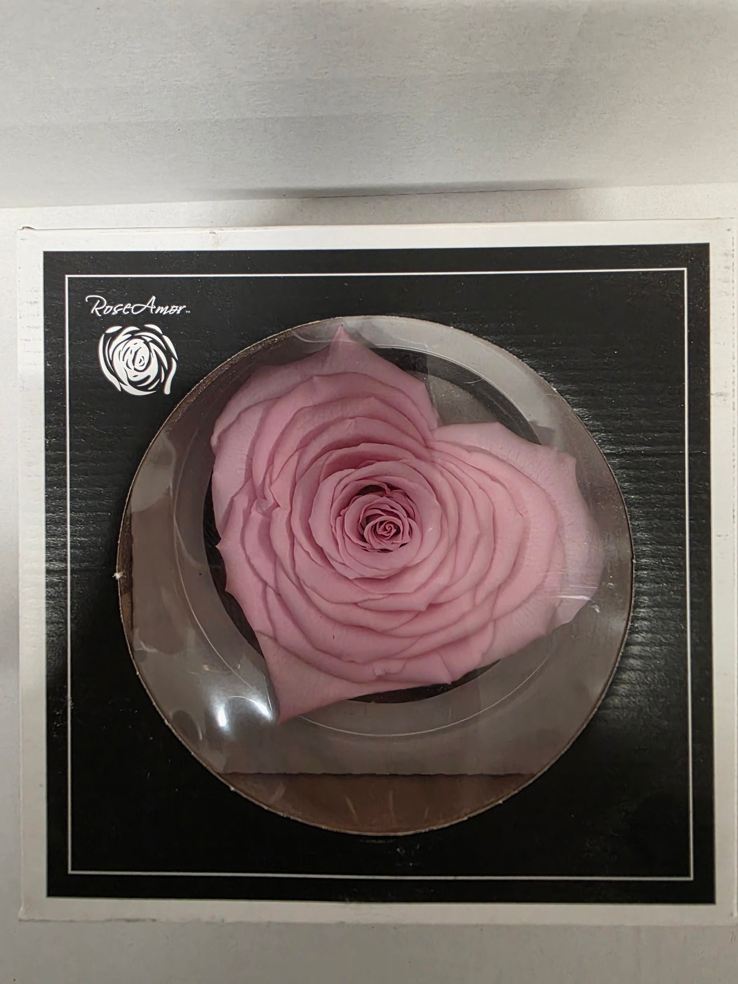 Artificial Preserved Rosa Heart Xxl Pin 04