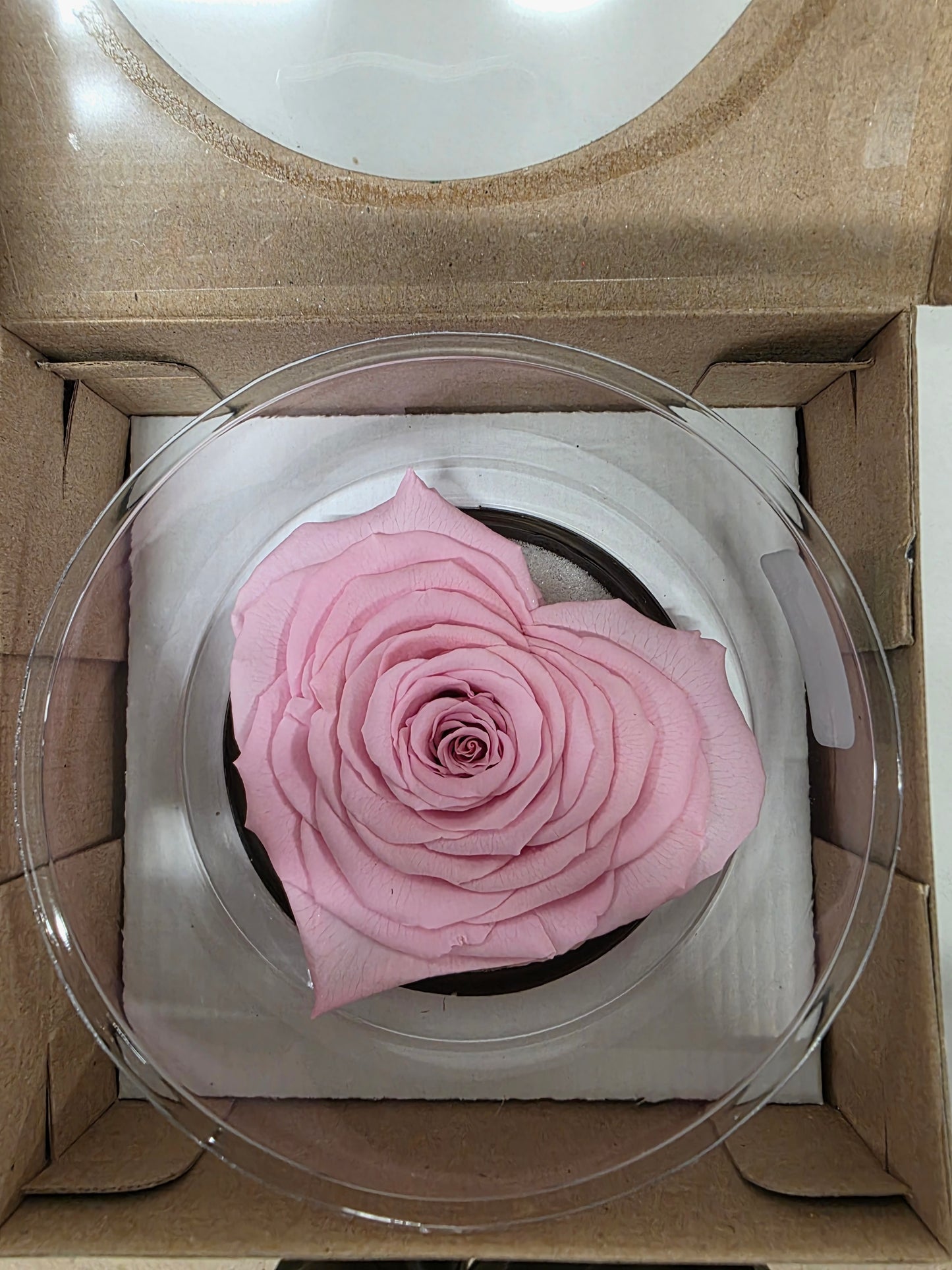 Artificial Preserved Rosa Heart Xxl Pin 04