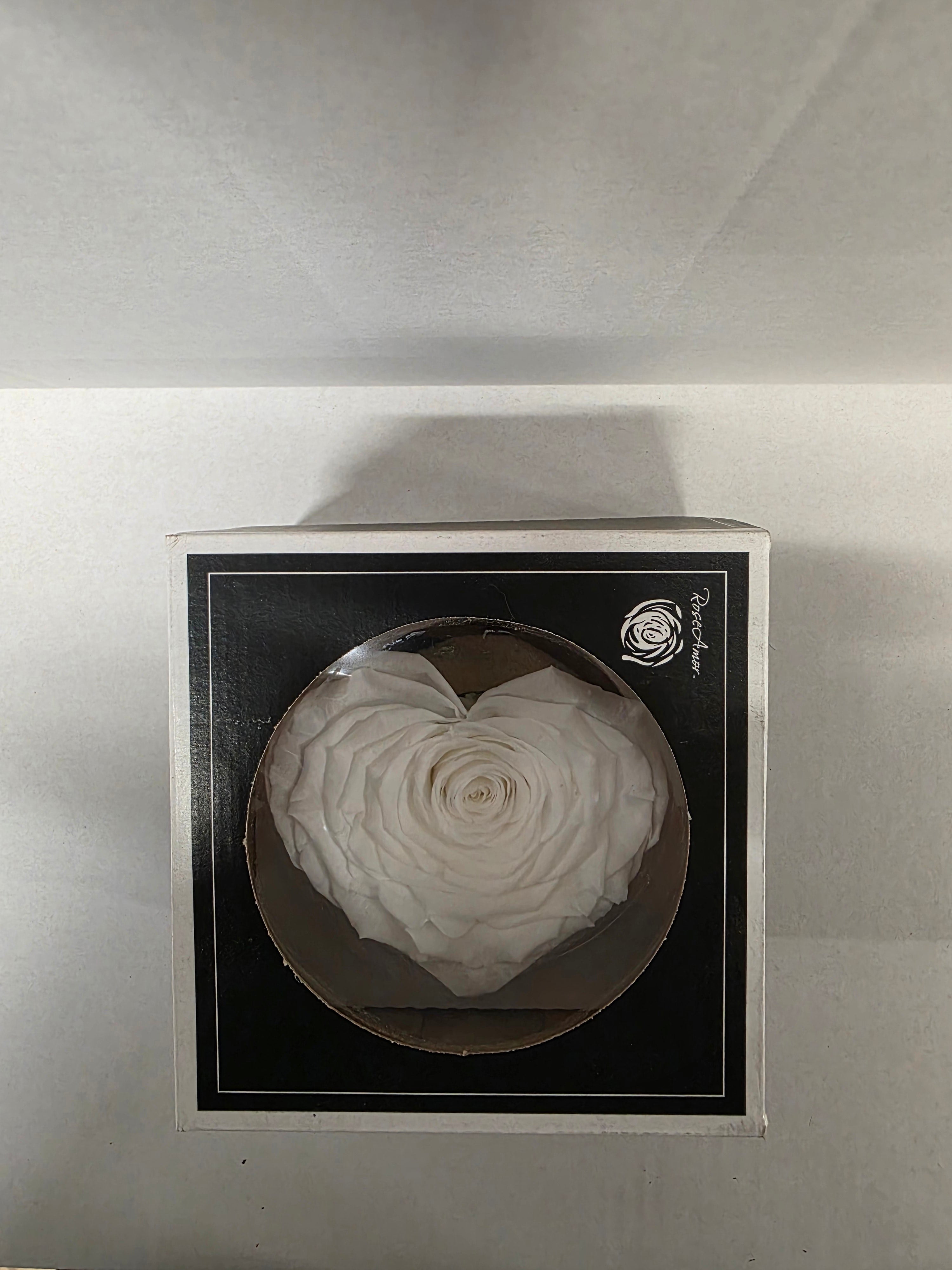Artificial Preserved Rosa Heart Xxl Whi 01