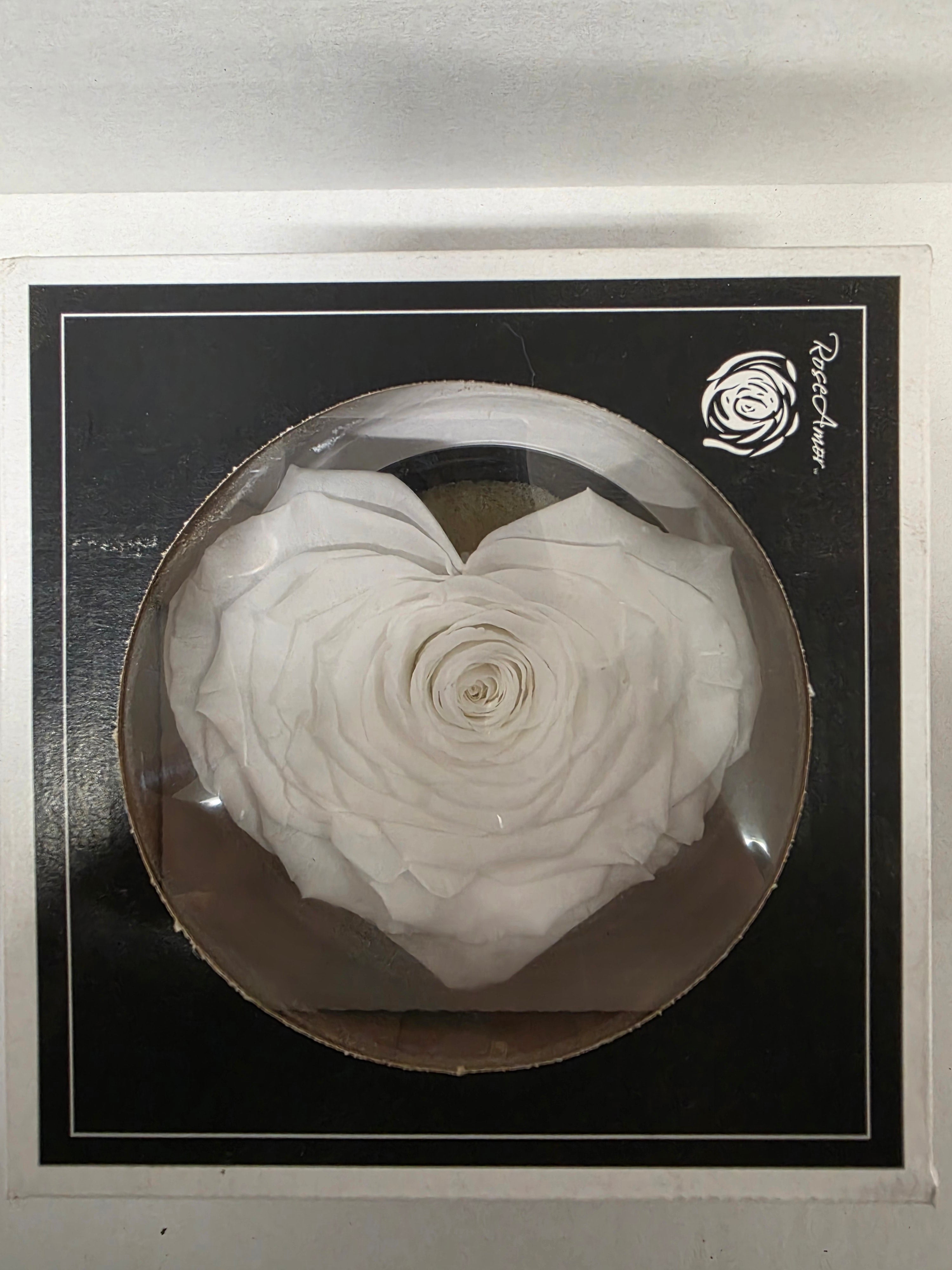 Artificial Preserved Rosa Heart Xxl Whi 01