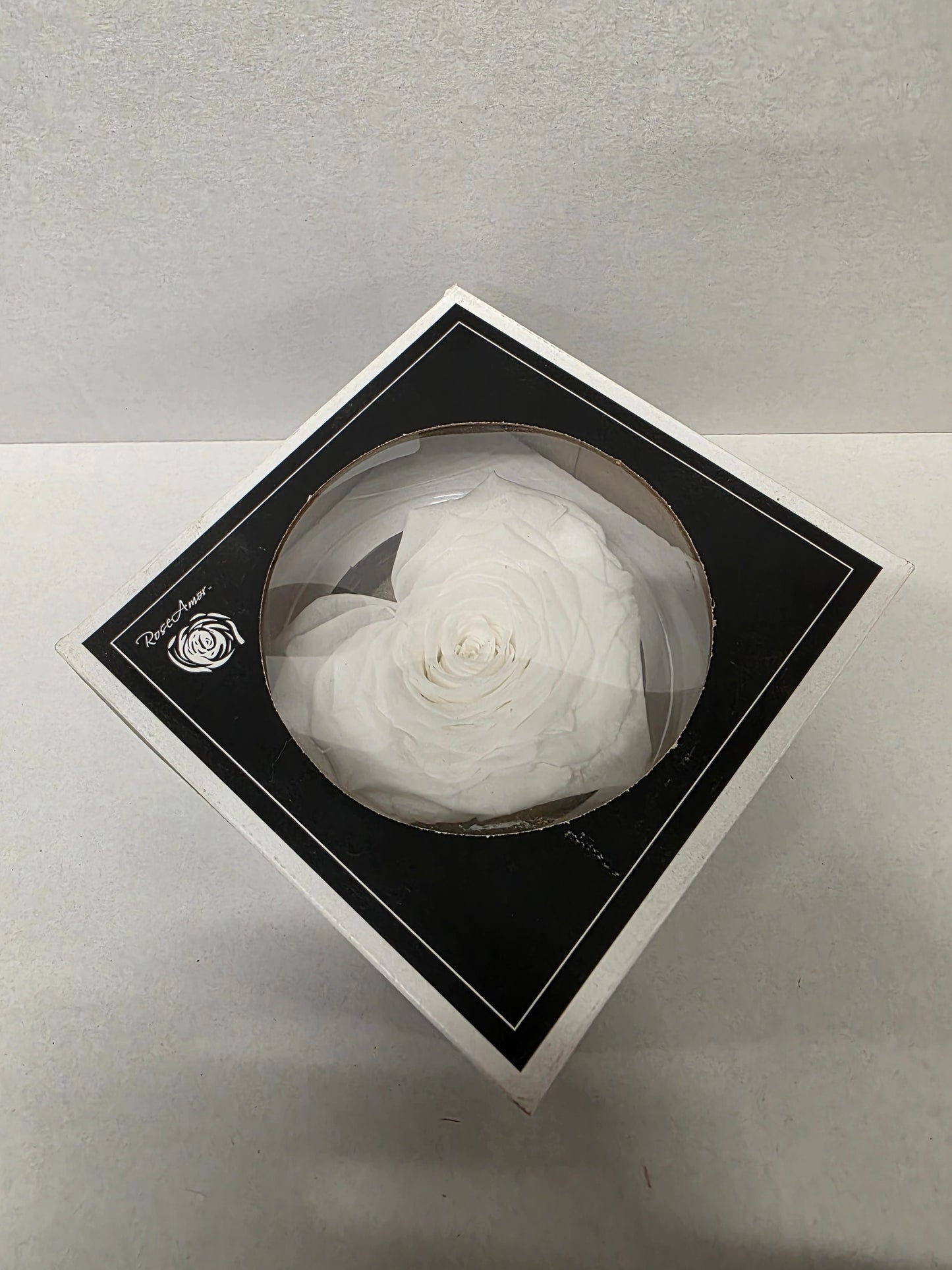 Artificial Preserved Rosa Heart Xxl Whi 01