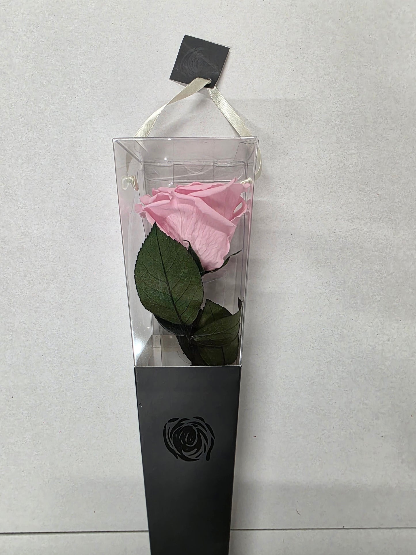 Artificial Preserved Rosa Lori Stems Pin 04 50
