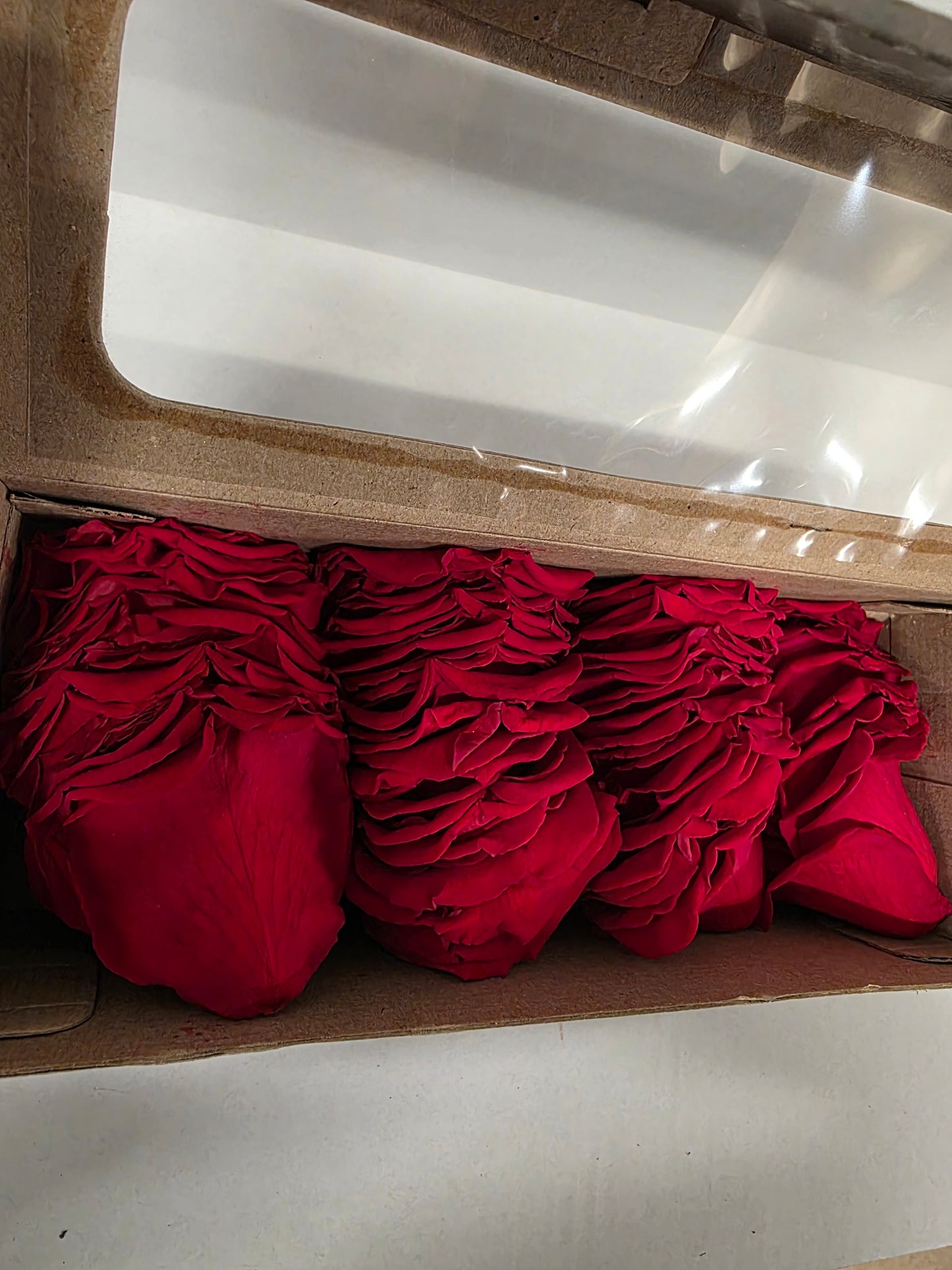 Artificial Preserved Rosa Petals Red 02 100gr