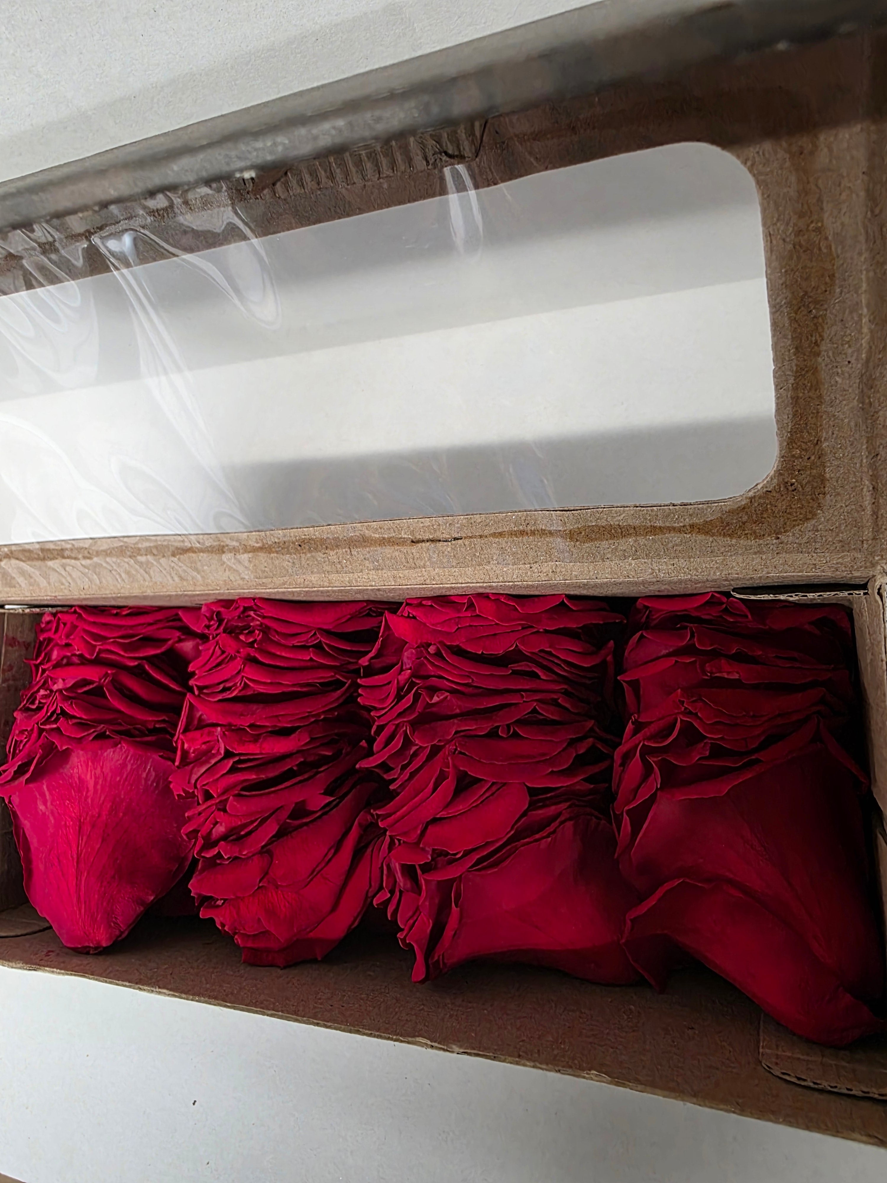 Preserved Rosa Petals Red 02 100gr