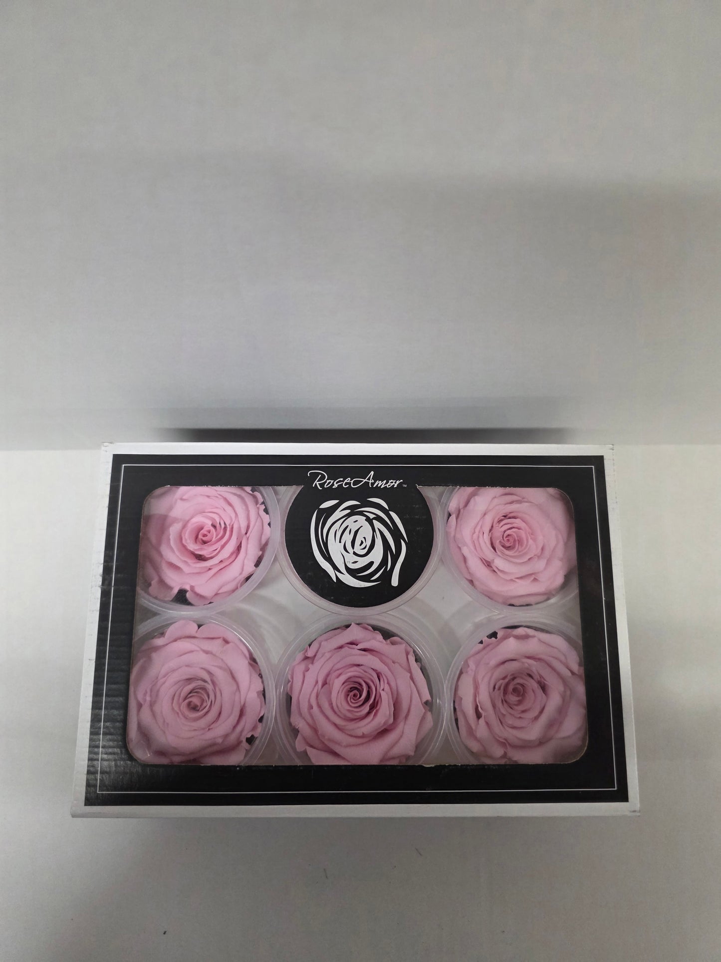 Artificial Preserved Rosa Xl Pin 04 (PACK OF 2)