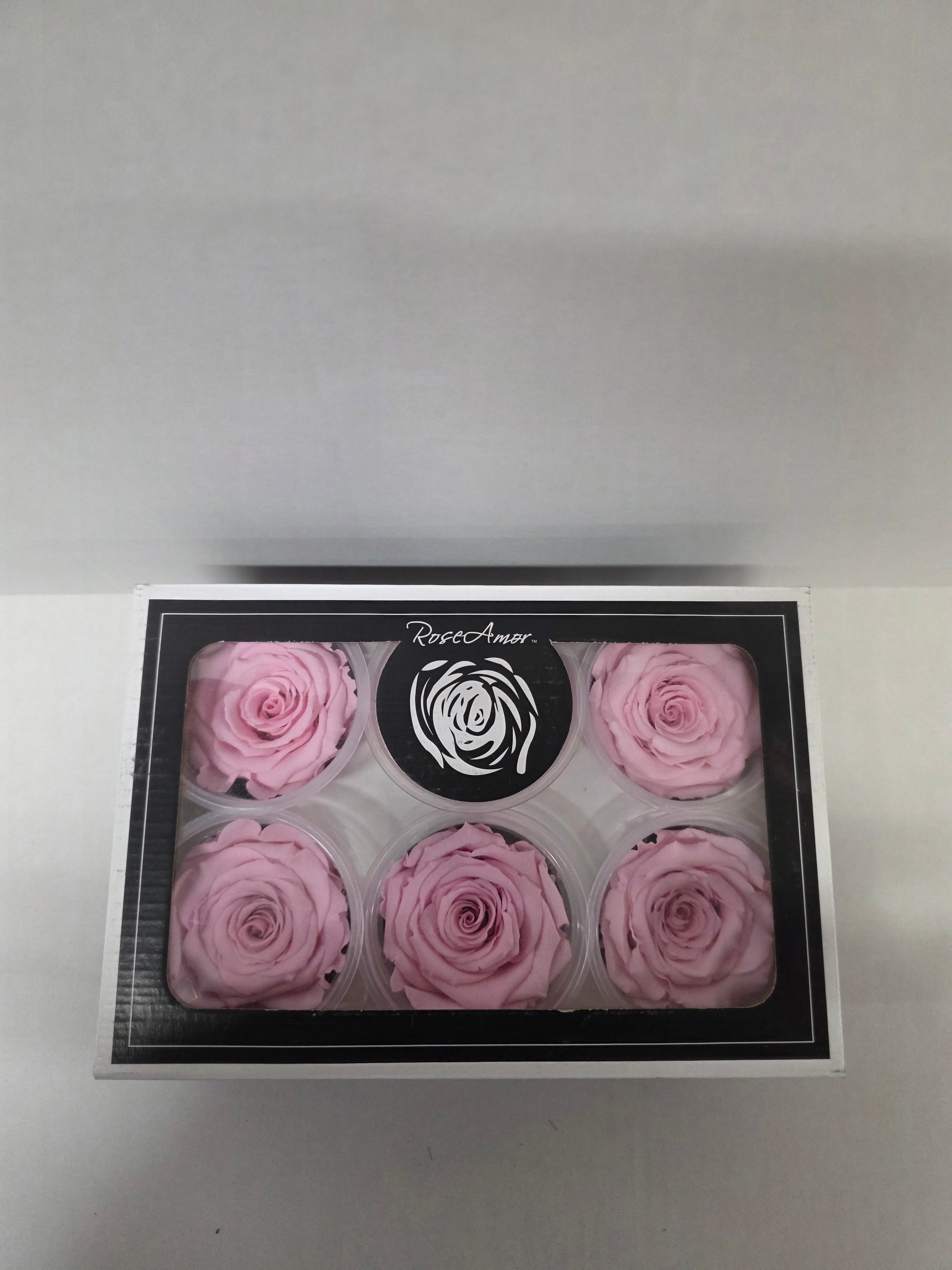 Artificial Preserved Rosa Xl Pin 04