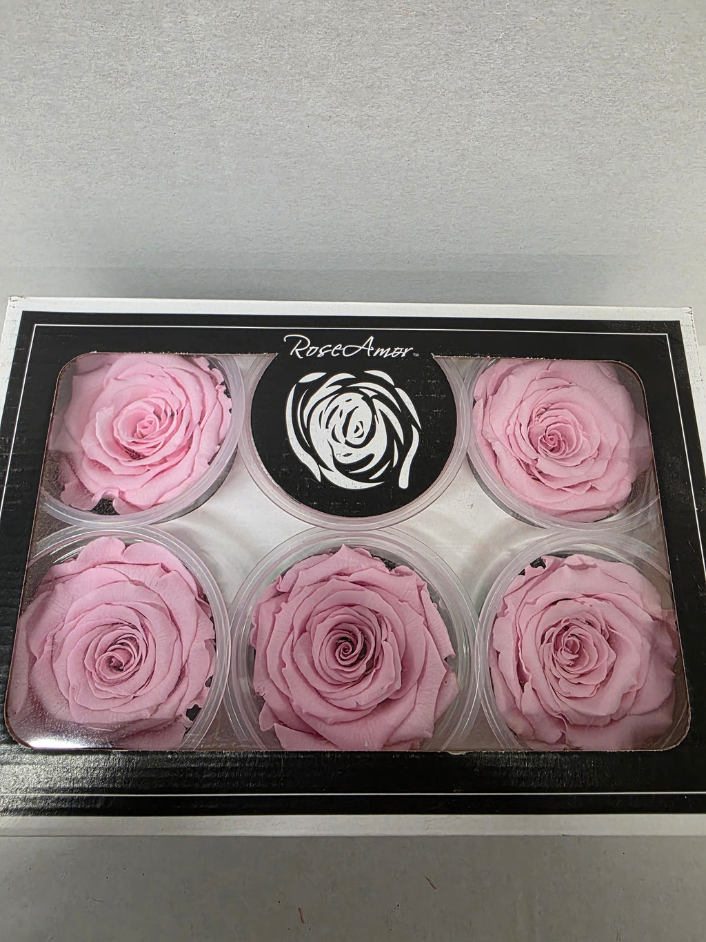 Artificial Preserved Rosa Xl Pin 04