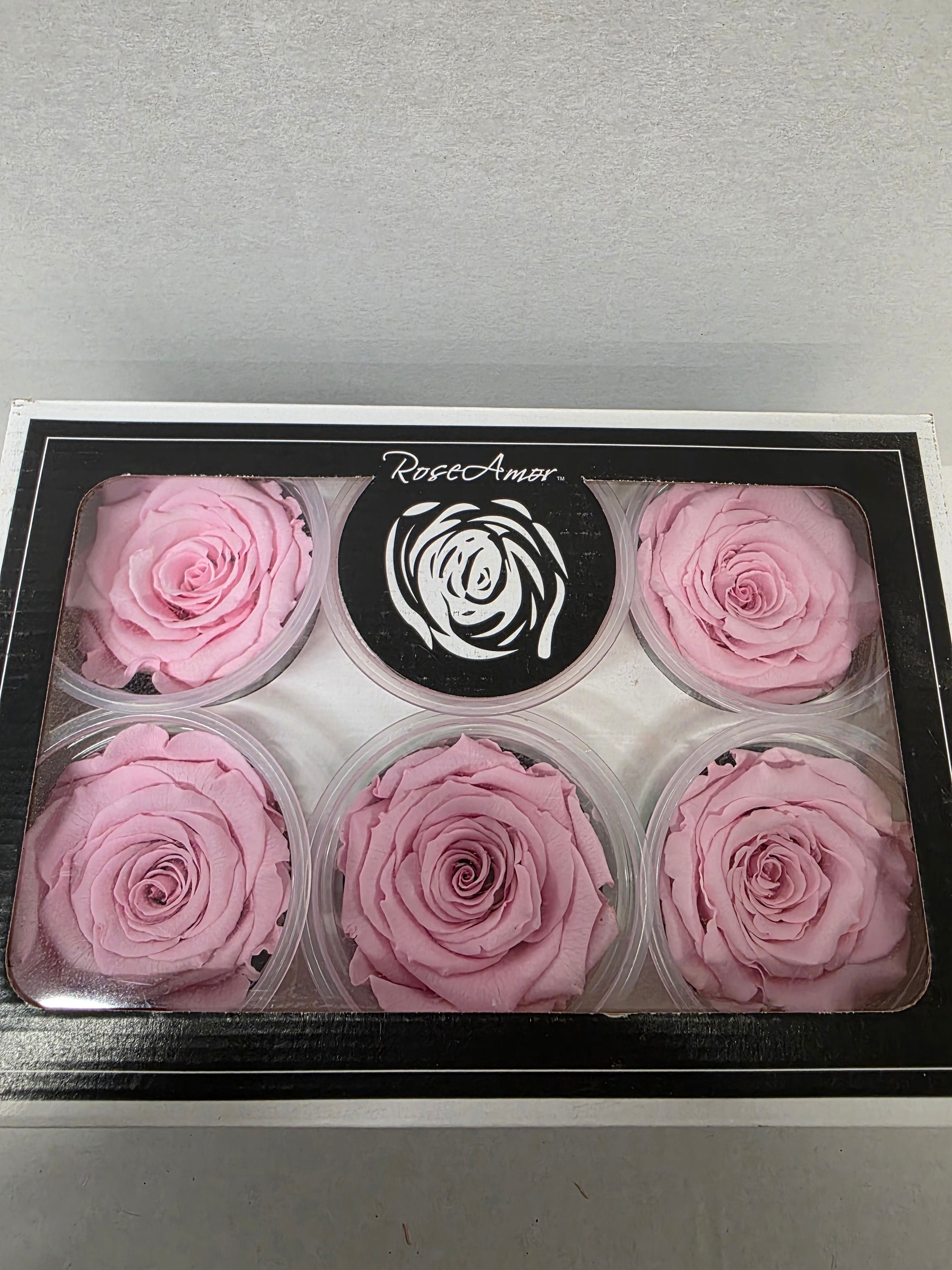 Artificial Preserved Rosa Xl Pin 04