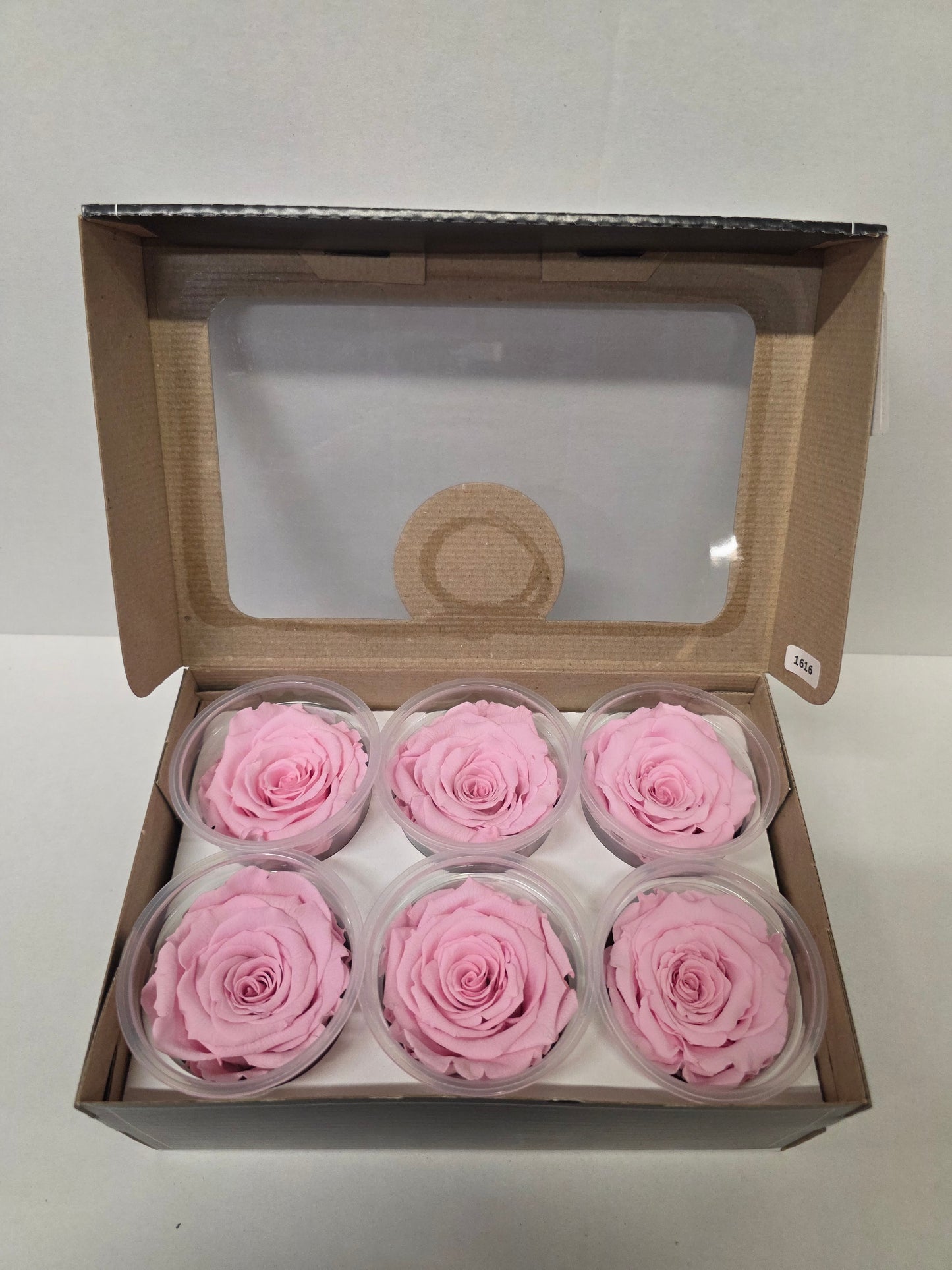 Artificial Preserved Rosa Xl Pin 04 (PACK OF 2)