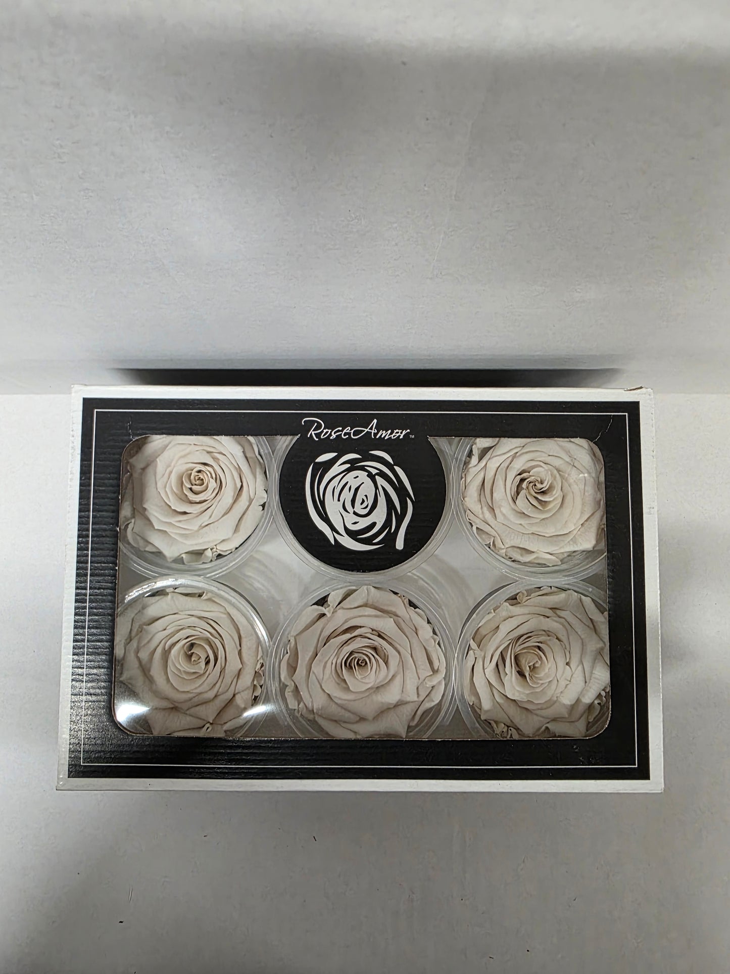 Artificial Preserved Rosa Xl Whi 04 (PACK OF 2)