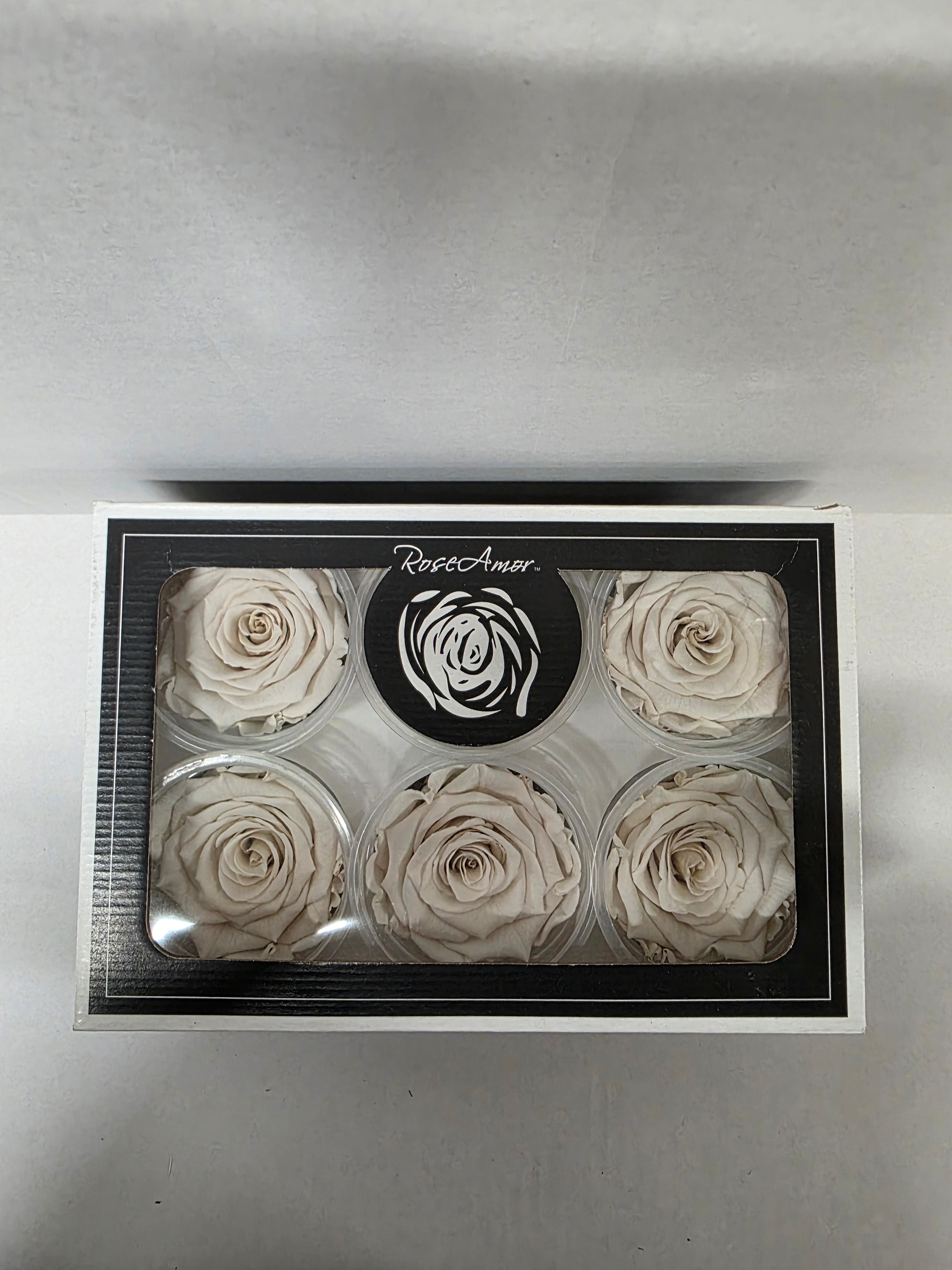 Artificial Preserved Rosa Xl Whi 04