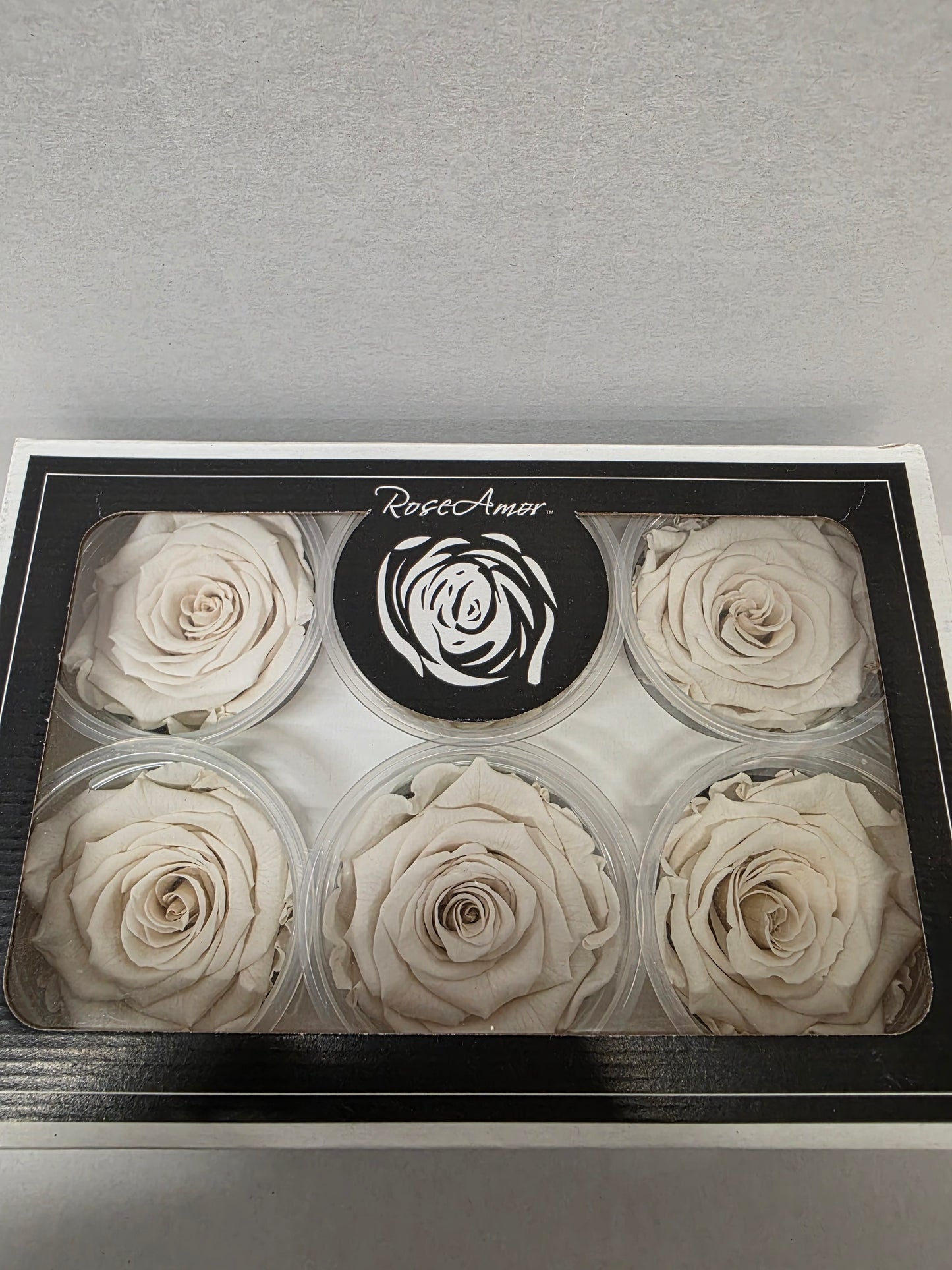 Artificial Preserved Rosa Xl Whi 04 (PACK OF 2)