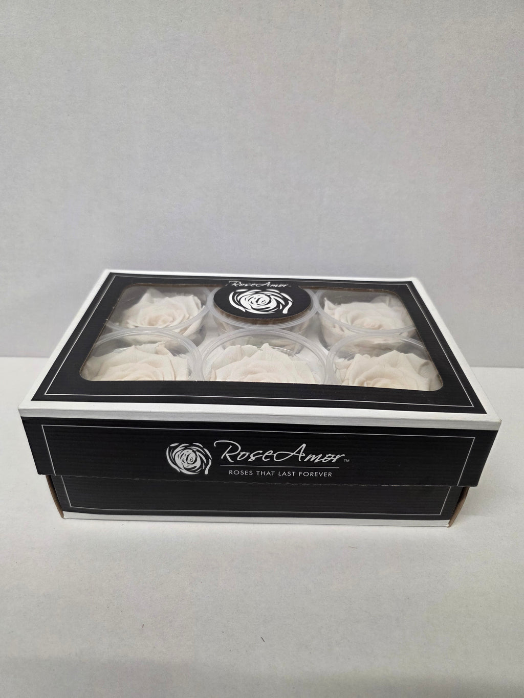 Artificial Preserved Rosa Xl Whi 04