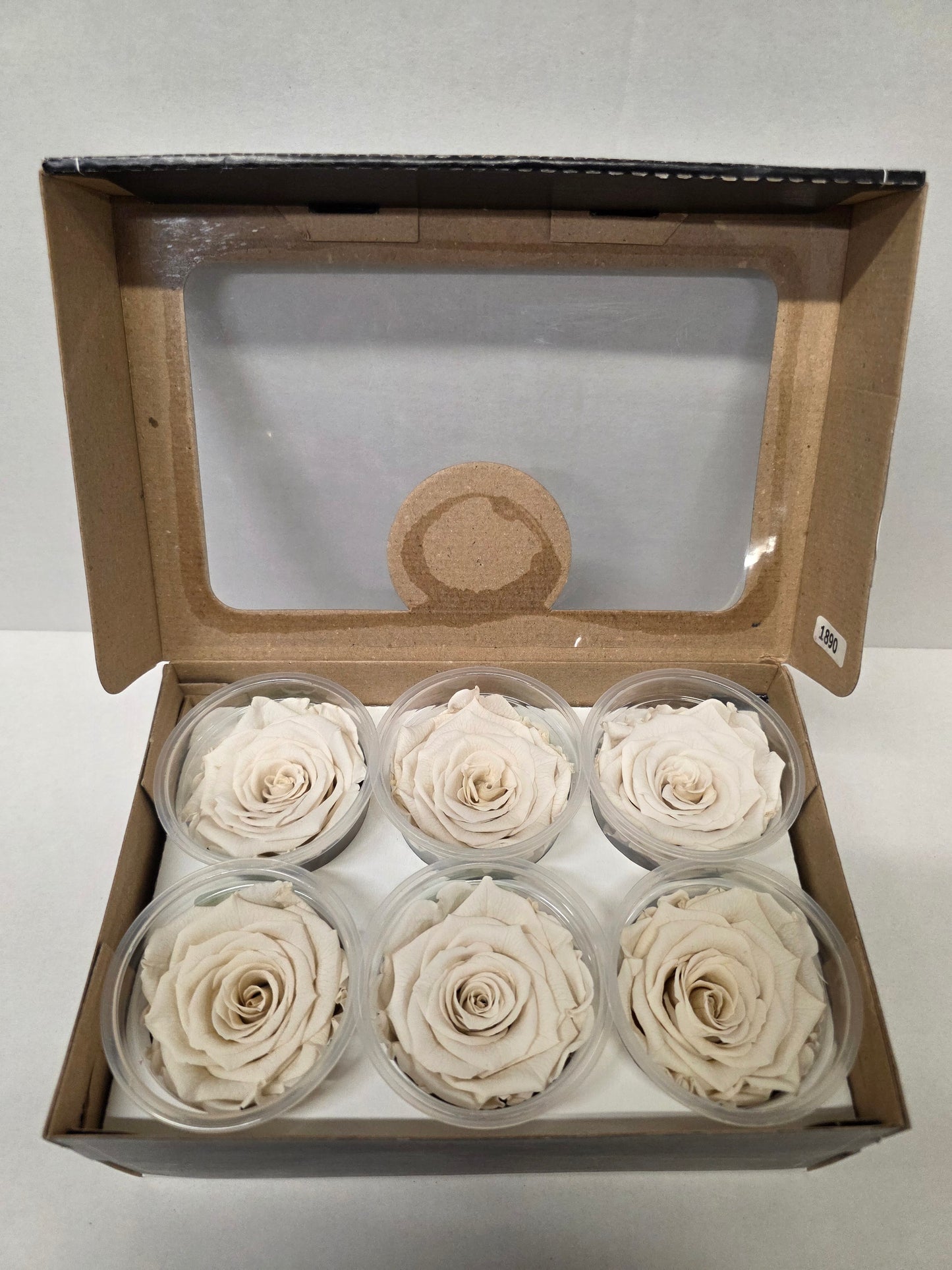 Artificial Preserved Rosa Xl Whi 04 (PACK OF 2)