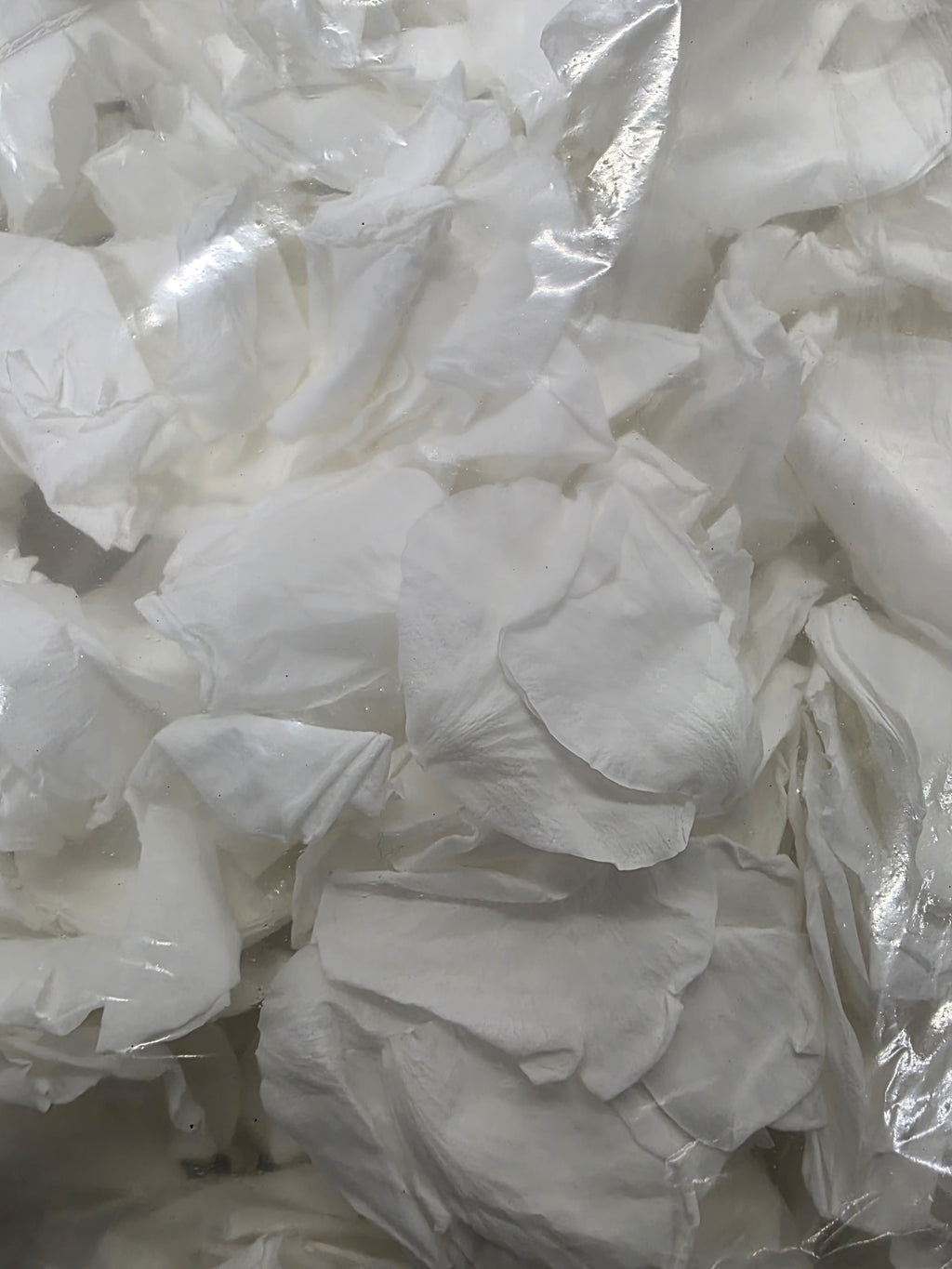 Preserved Rose Petals White 200g