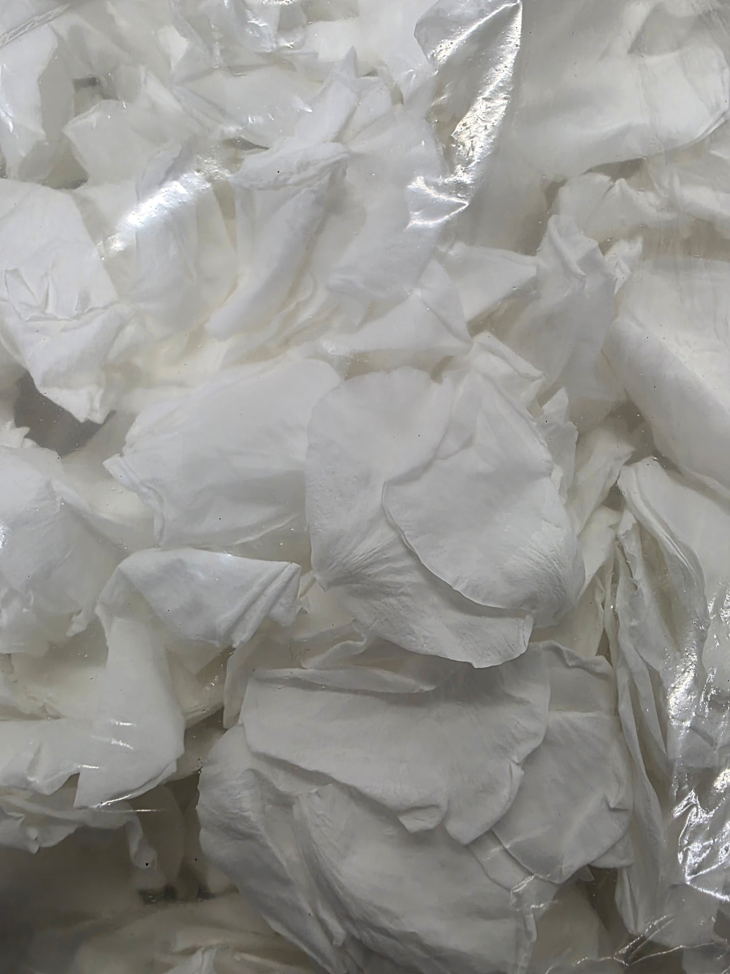 Artificial Preserved Rose Petals White 200g