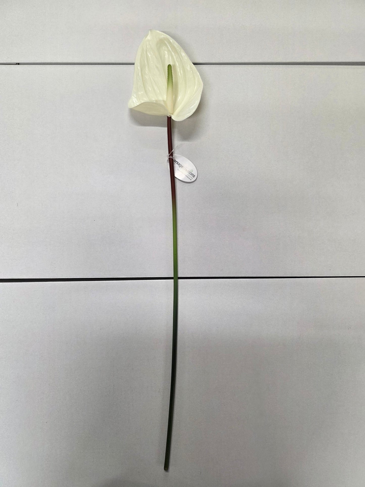 Artificial Anthurium Cream (PACK OF 2)